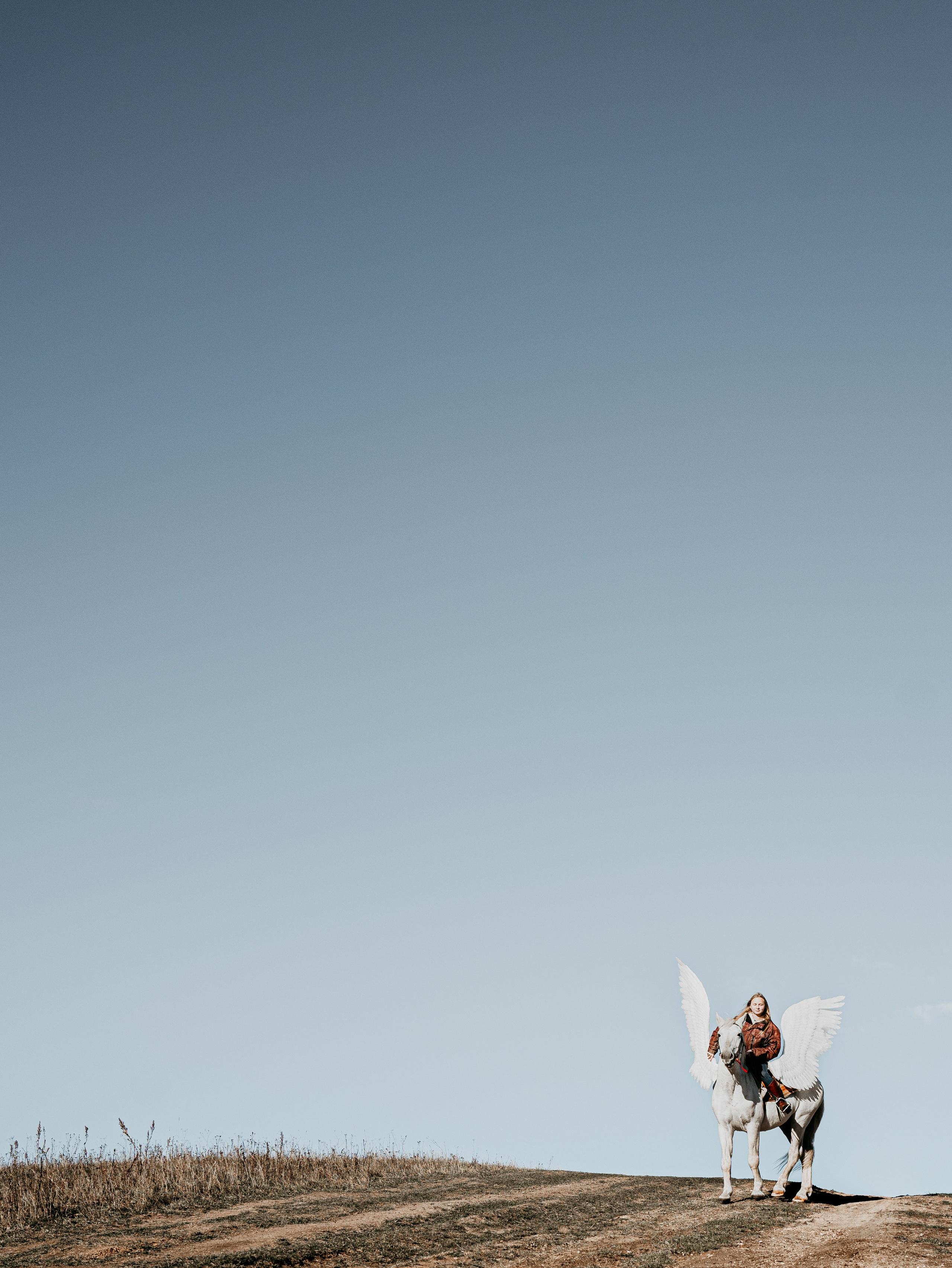 Конная школа. Фотограф Светлана Мересева