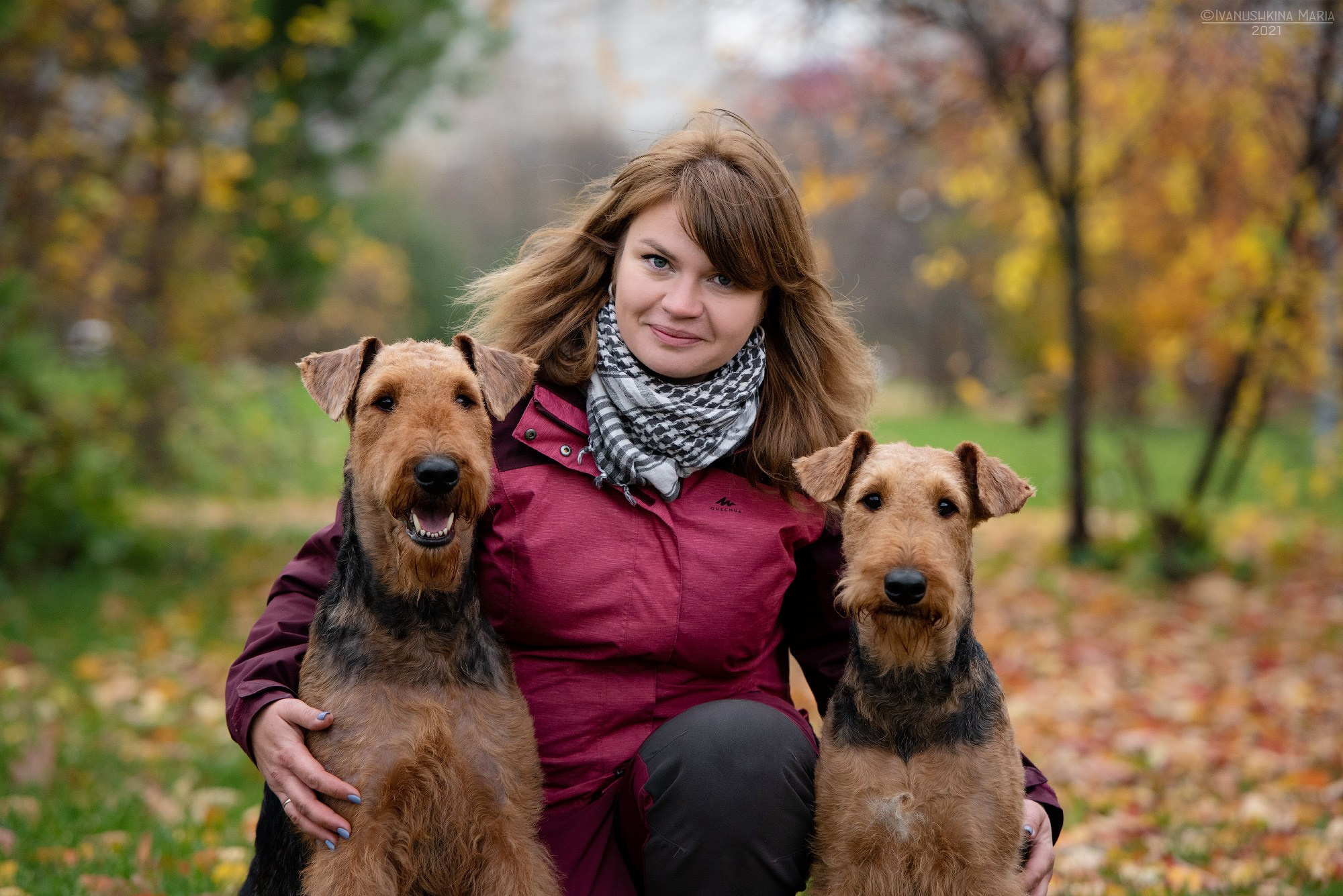 эрдельтерьеры