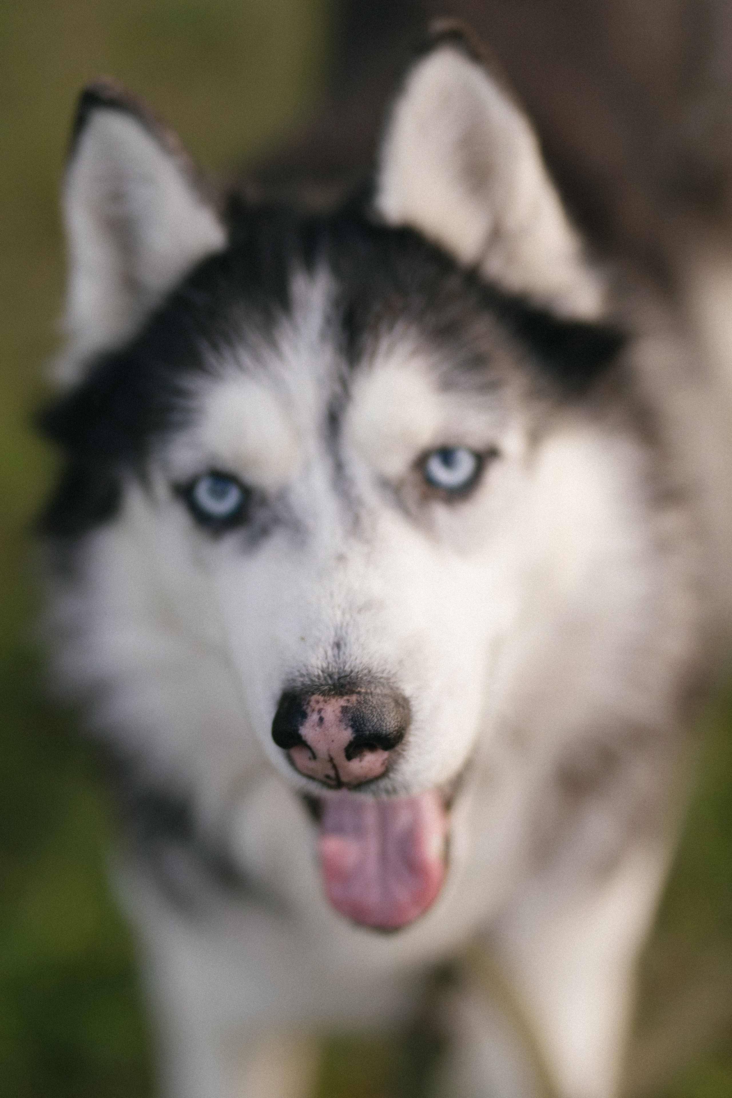 СЕМЬИ. Maria Startseva Photo