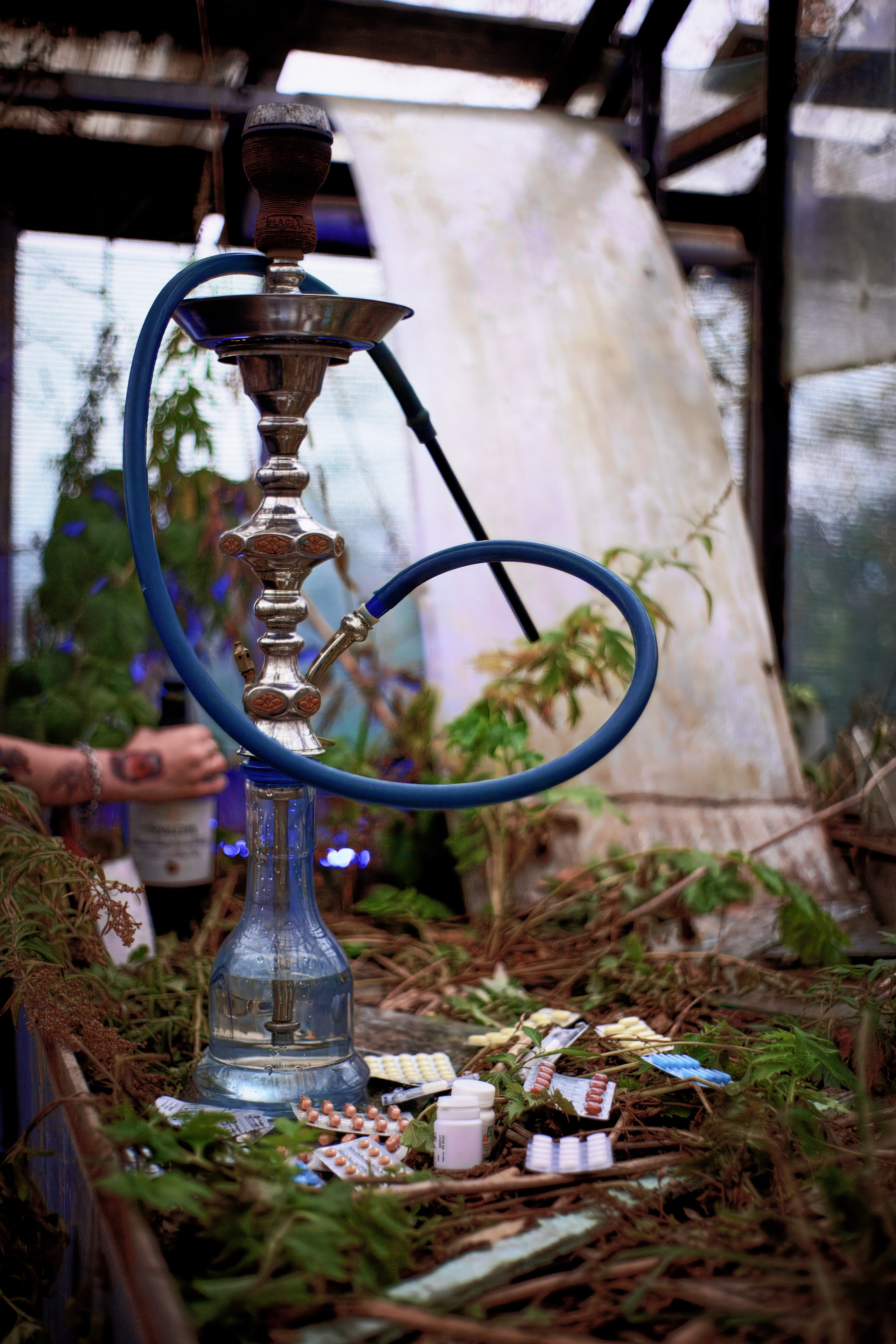 Алиса. Наше время. Фотограф в Южно-Сахалинске Гусаков Евгений