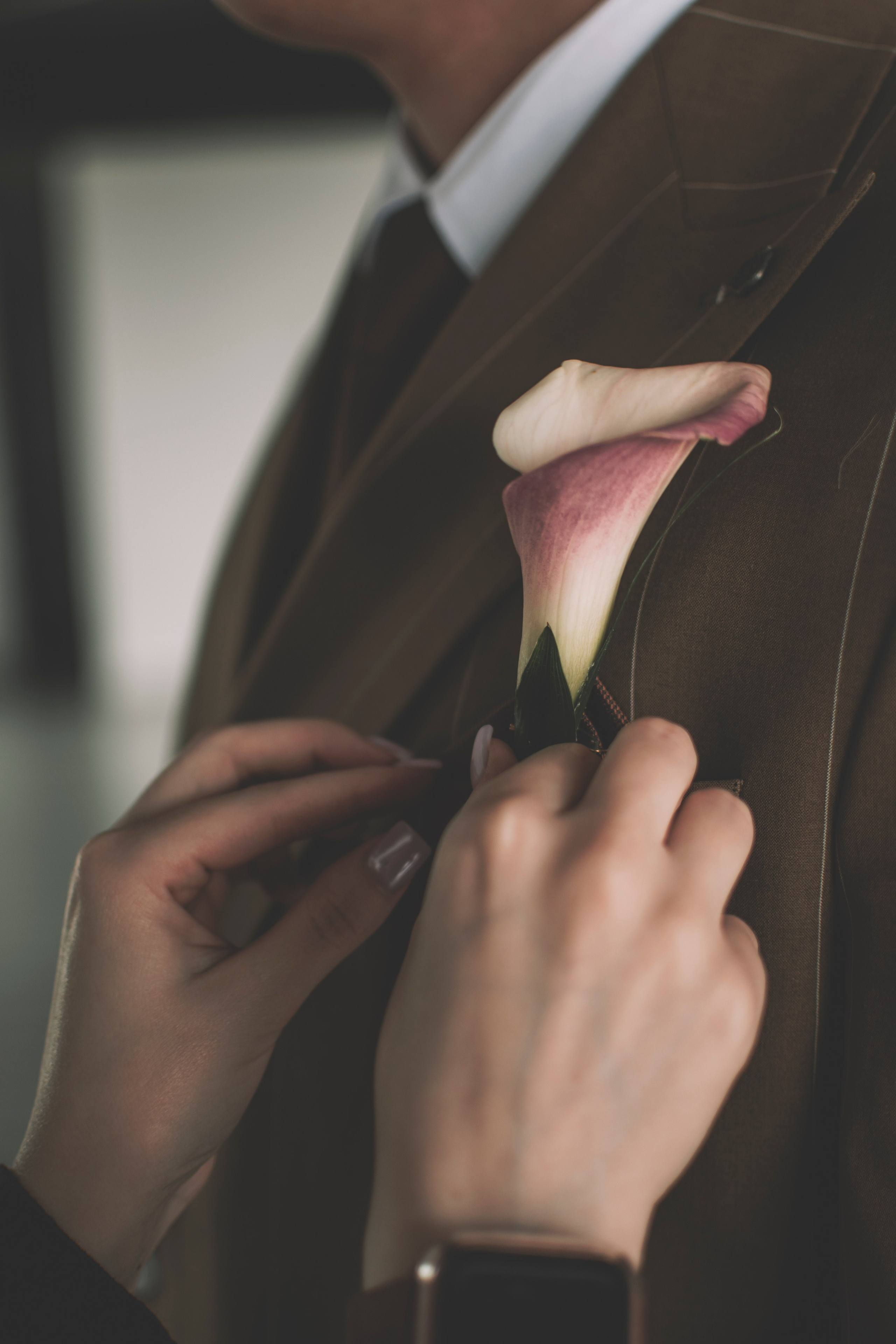 Альберт и Анастасия (Студийная фотосессия, роспись в ДК Нефтяник + фотосессия с гостями). Семейный и свадебный фотограф Губкинский и Ставрополь