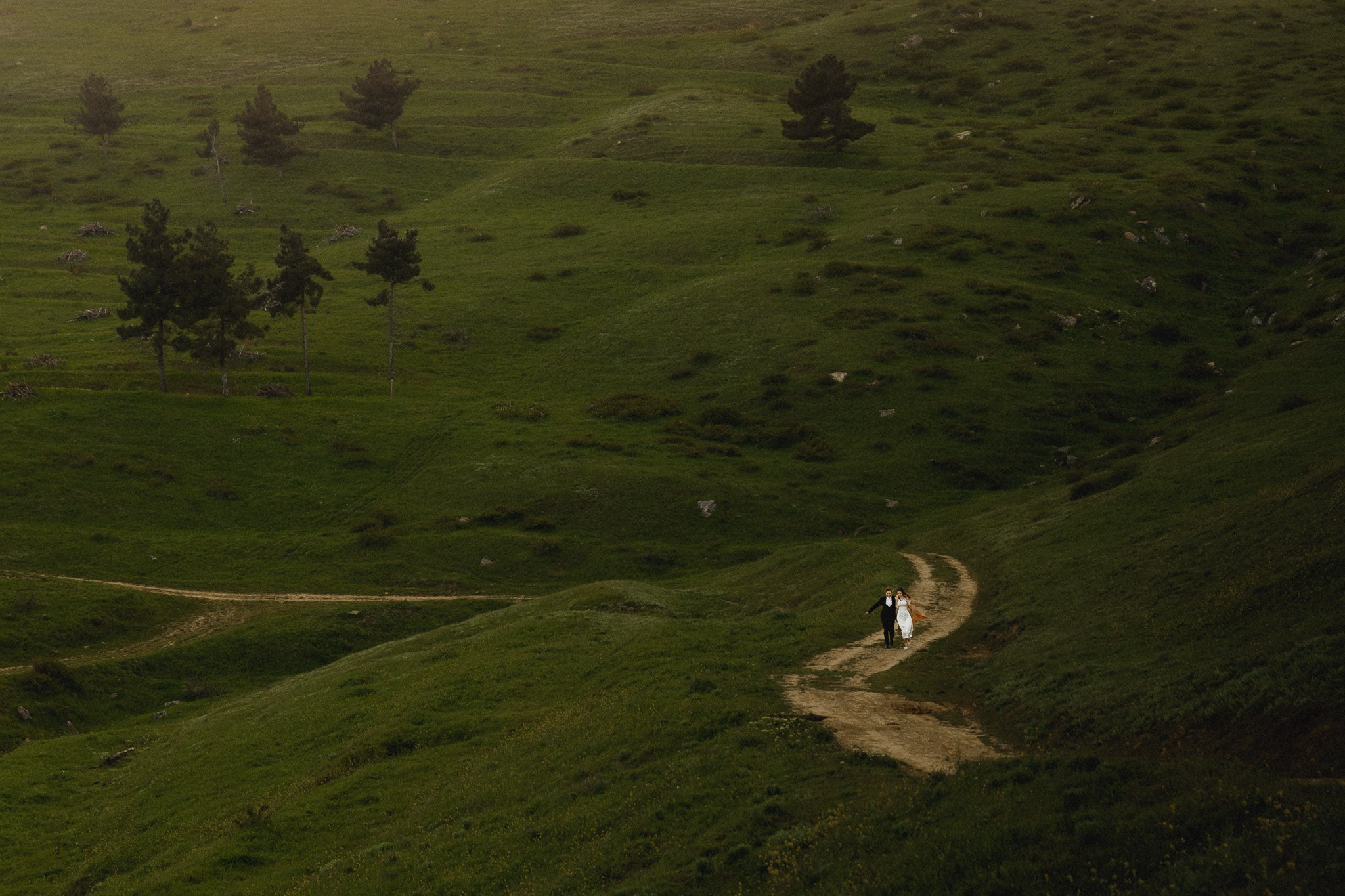 Герасимов Дмитрий