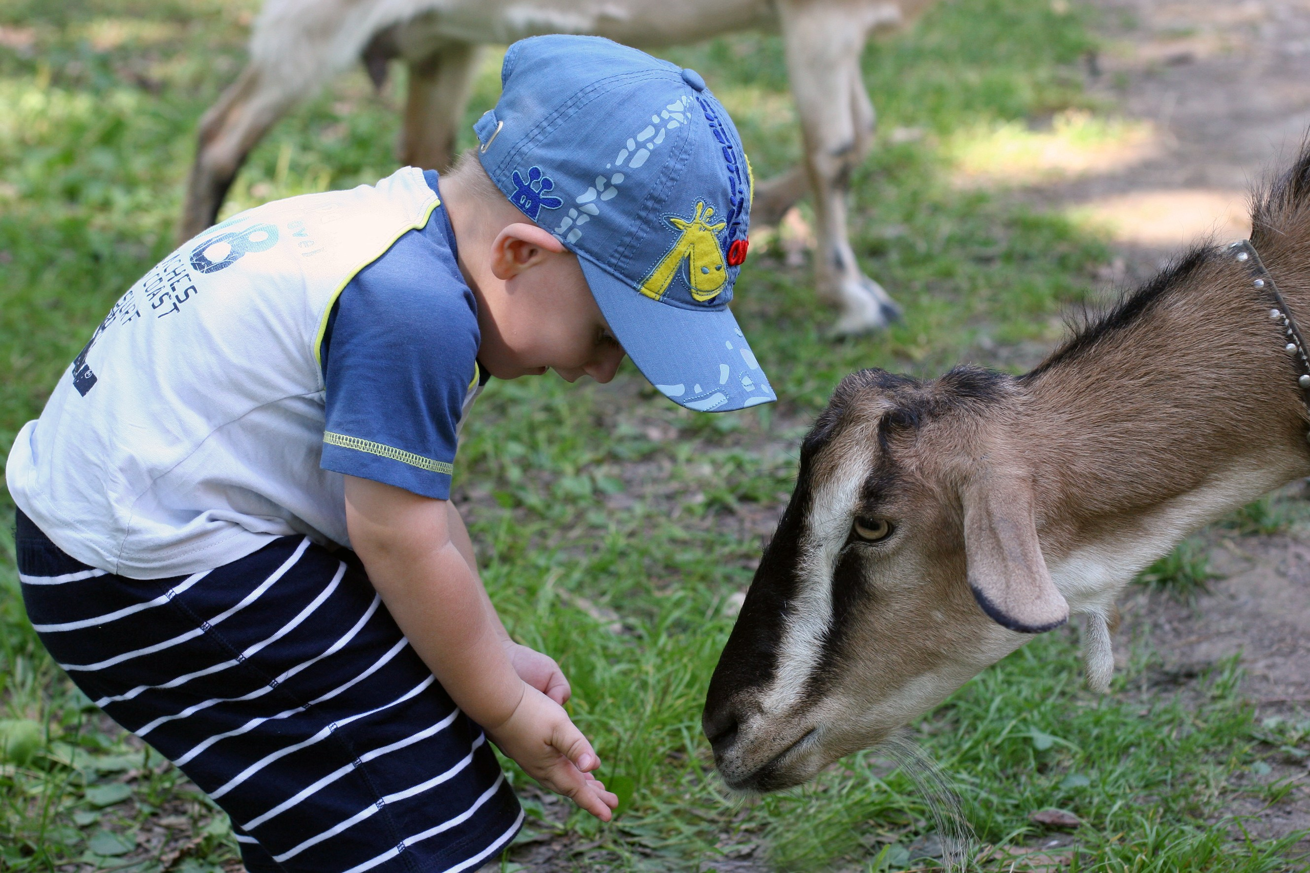 Детская фотография в помещении и на улице. Сайт фотографа Виталия Дени