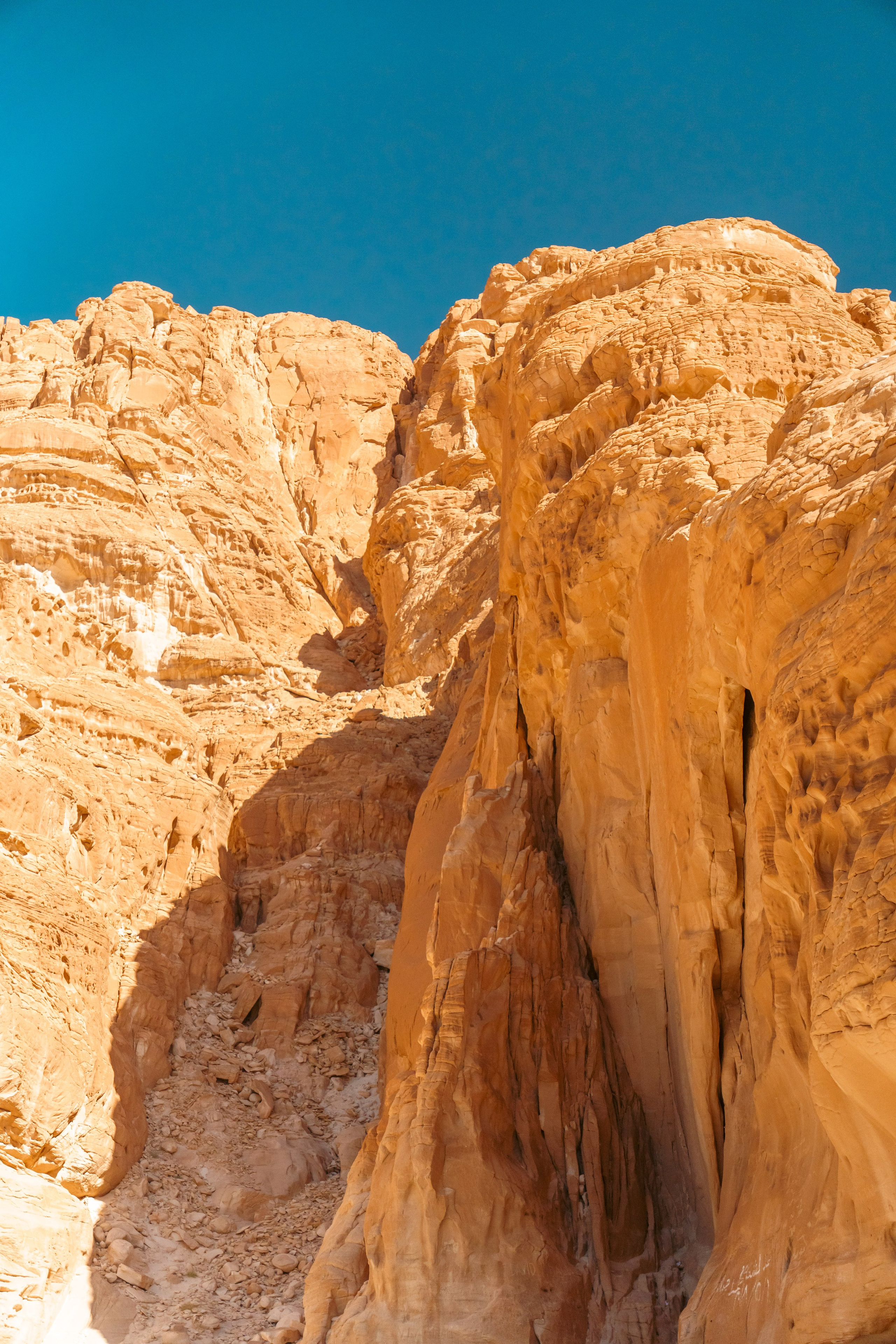 Природа. Фотограф в Санкт-Петербурге Ибрагимова Алина