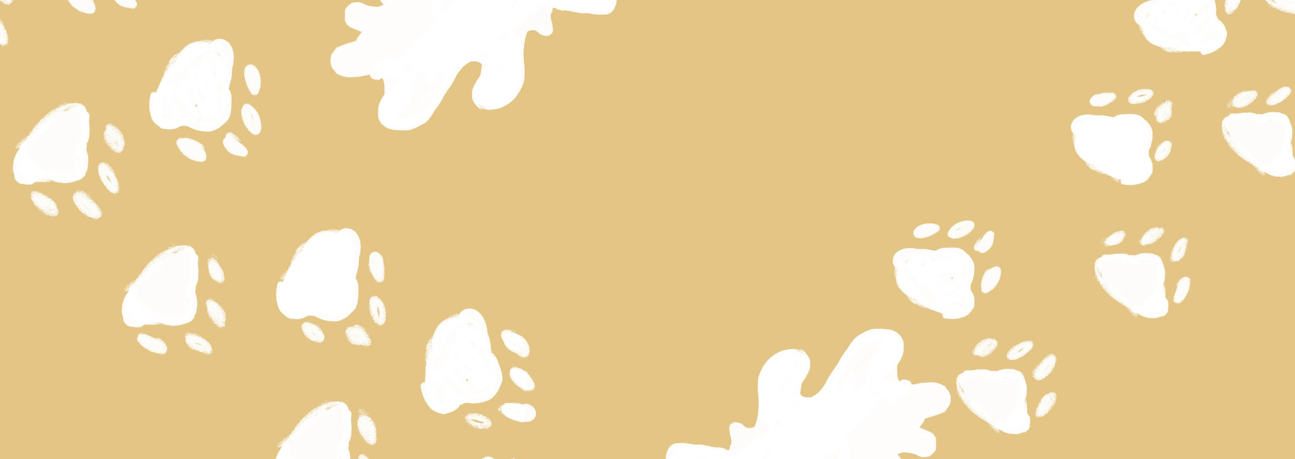 Дизайн портфолио. Фотограф в Санкт-Петербурге Ибрагимова Алина