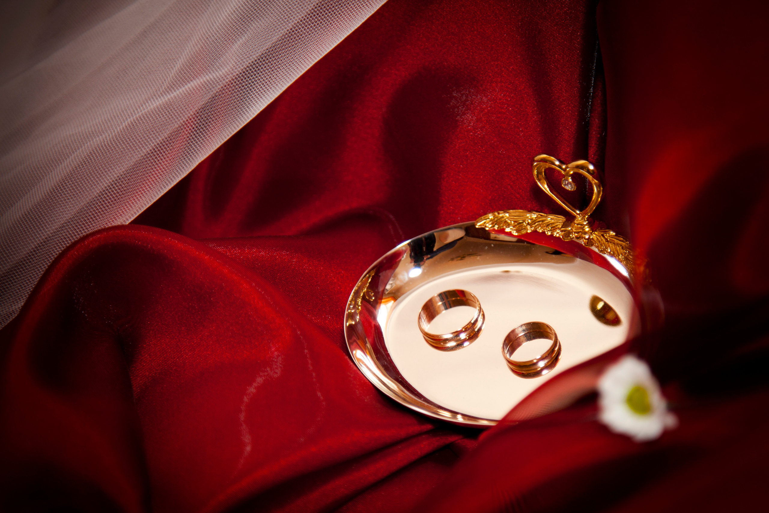 WEDDING. AGarte: photo and video shooting in St. Petersburg and Moscow