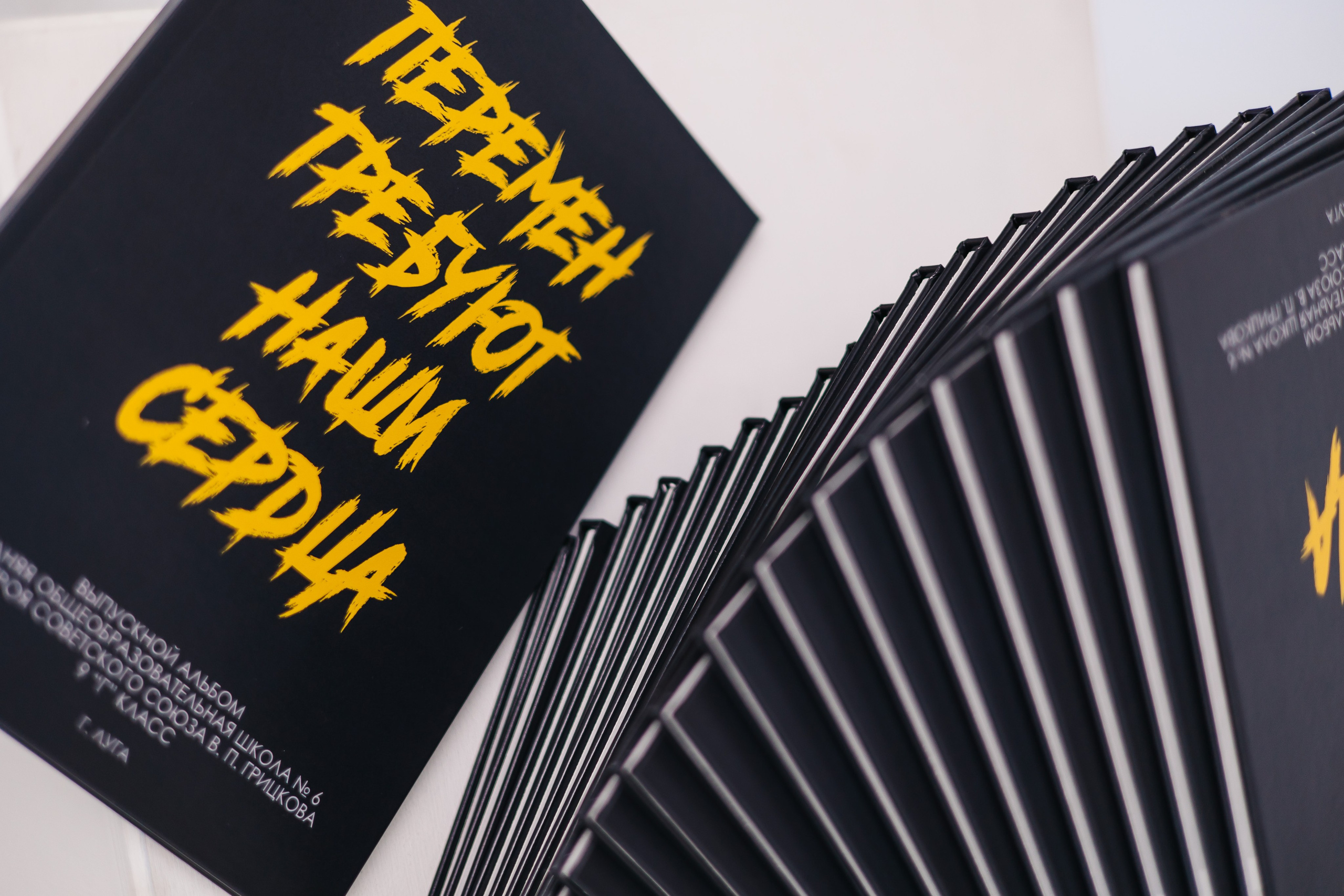 10 разв. для Цен-2. Выпускные альбомы в Луге/Школьные съёмки