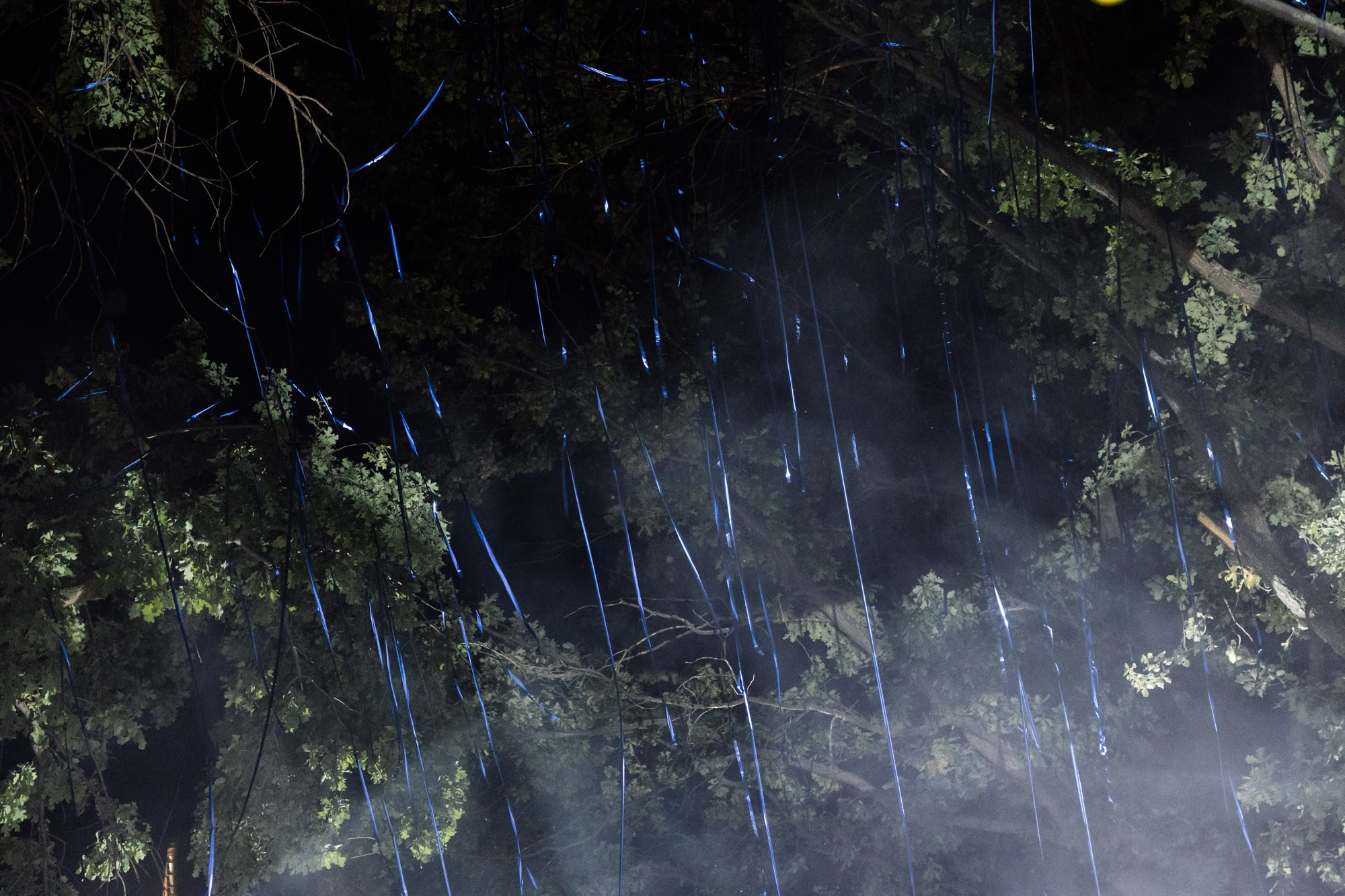 Свежий воздух. Владимир Киселев — свадебный фотограф в Саратове, Москве и по всему миру