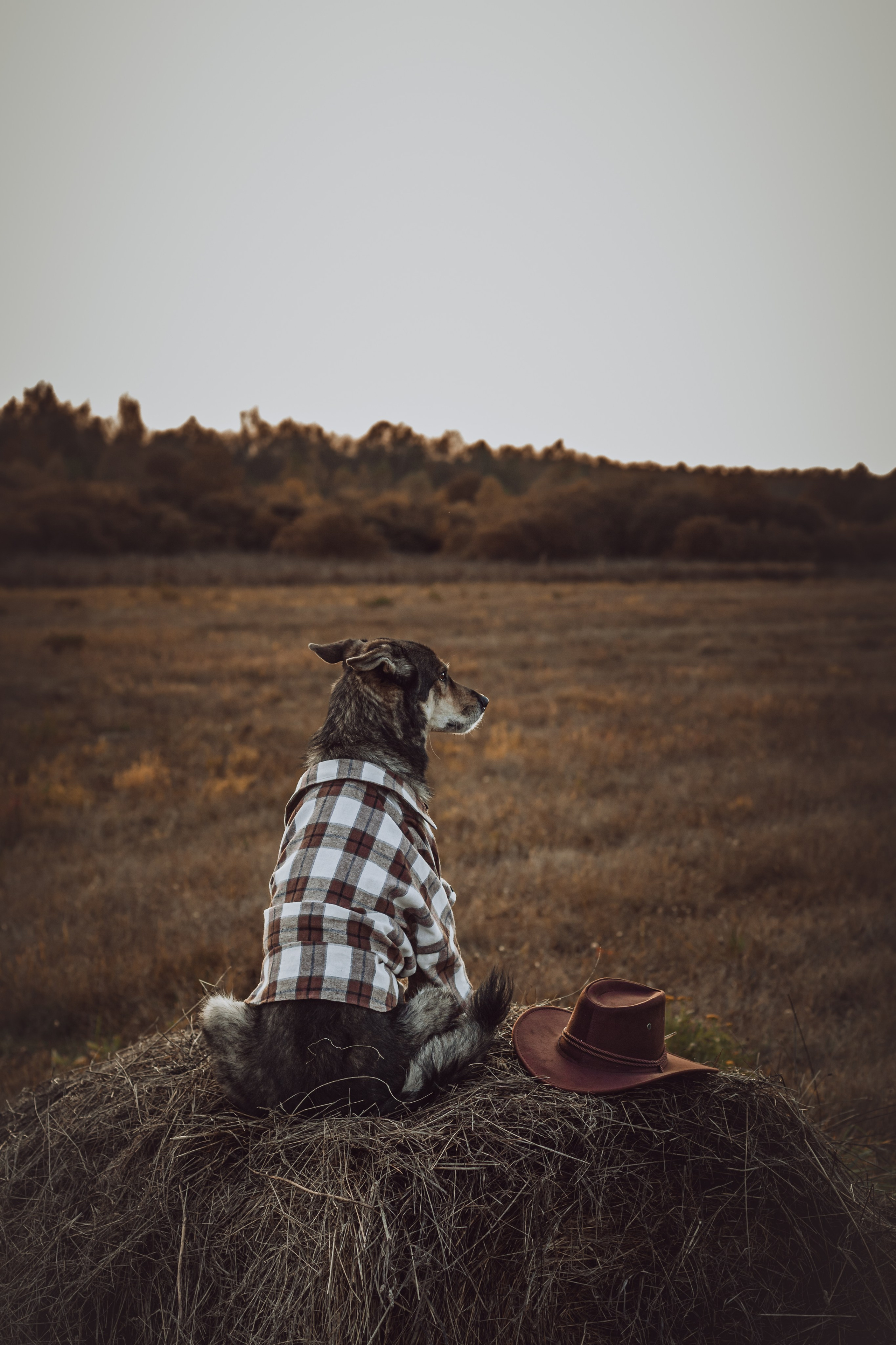 Кантри Дюк. Фотограф-анималист Татьяна Степанова