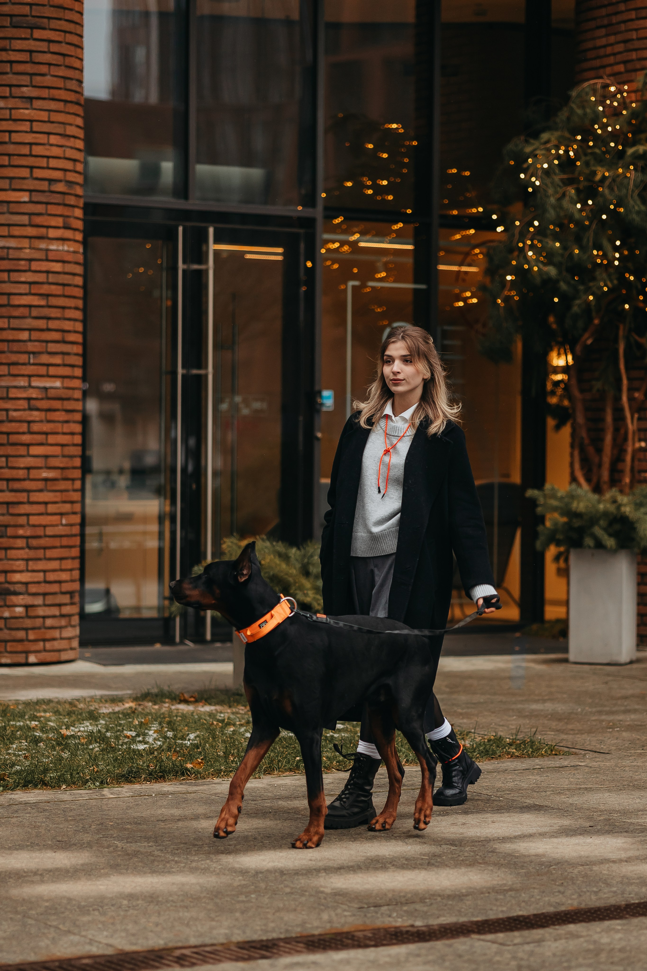 Дари и Гранд. Фотограф-анималист в Санкт-Петербурге Алина Яхонт