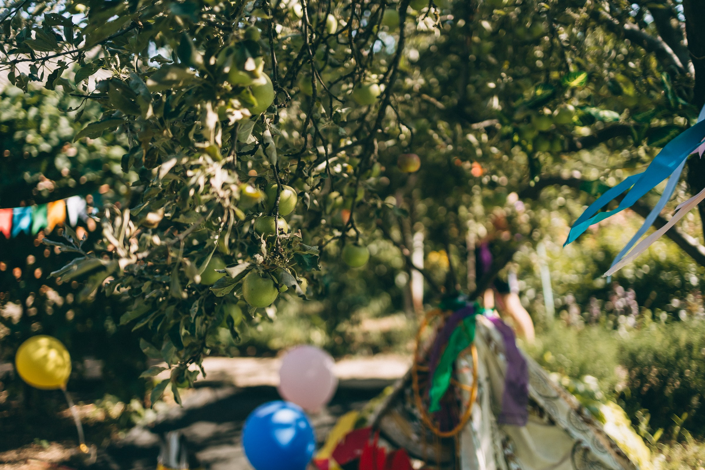«Индейцы». Семейный фотограф в Волгодонске Краченцева Анна