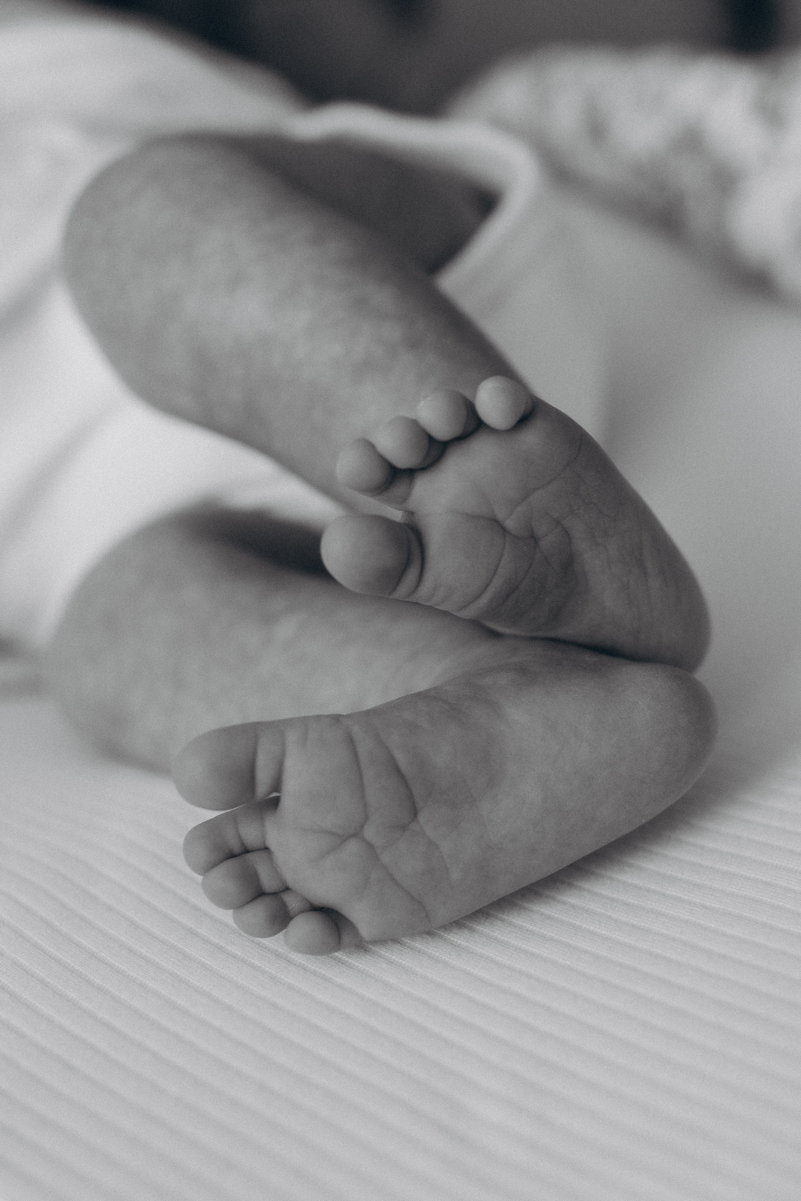 Гоар. Семейный и детский фотограф в Москве