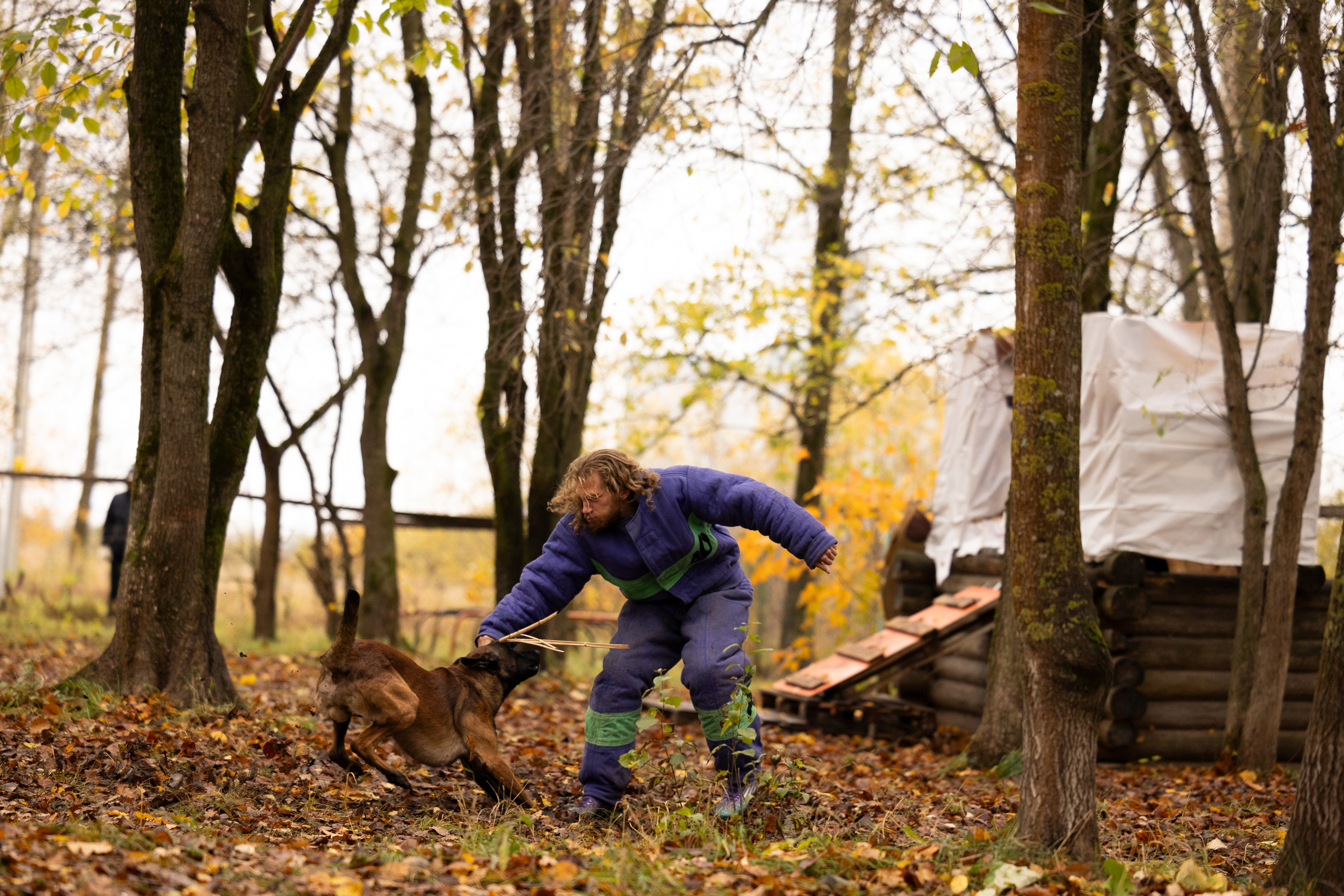 Соревнования по Мондьорингу г. Вологда. Фотограф-анималист Анна Маринич