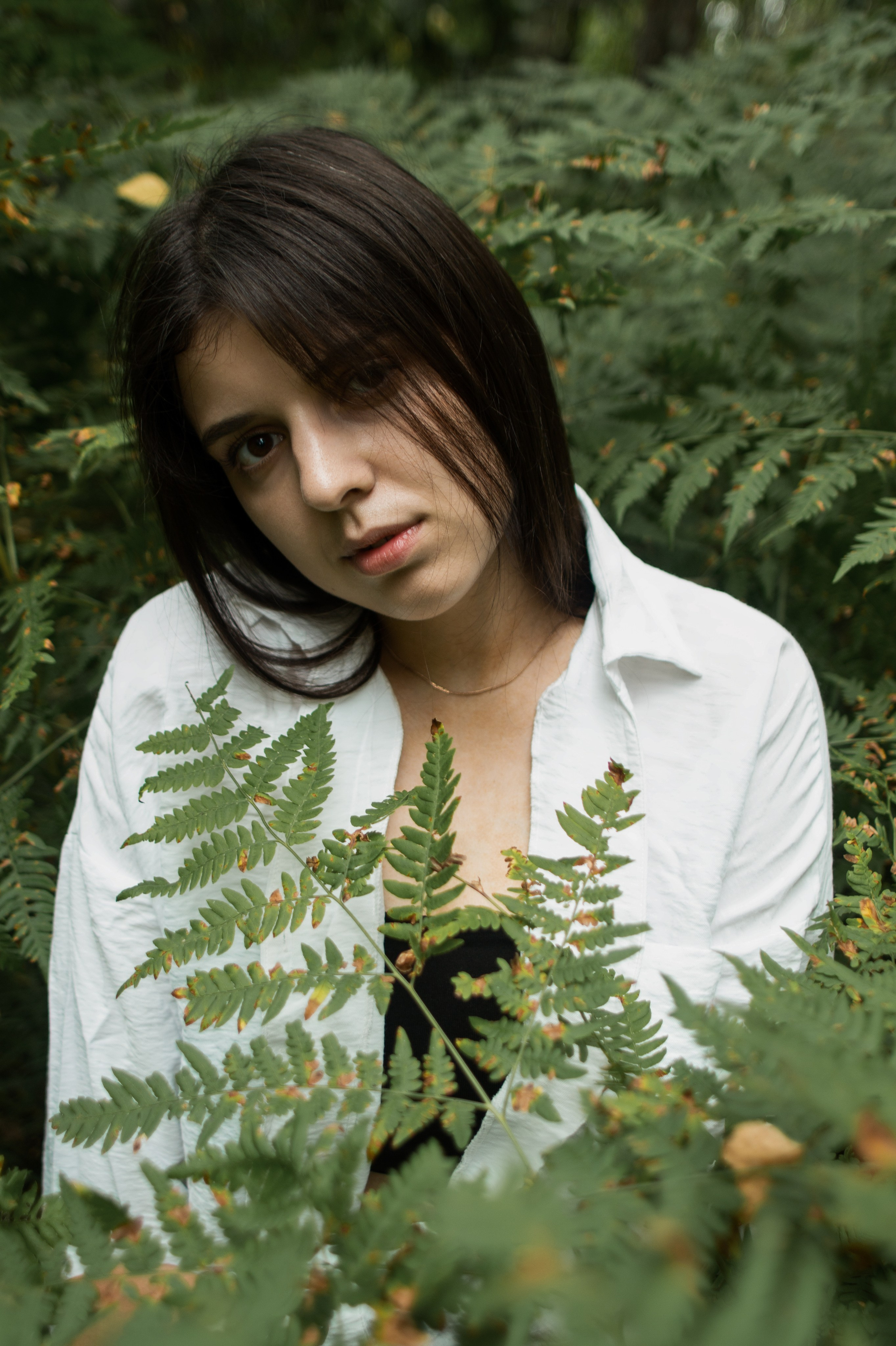 Папоротник. Фотограф Москва