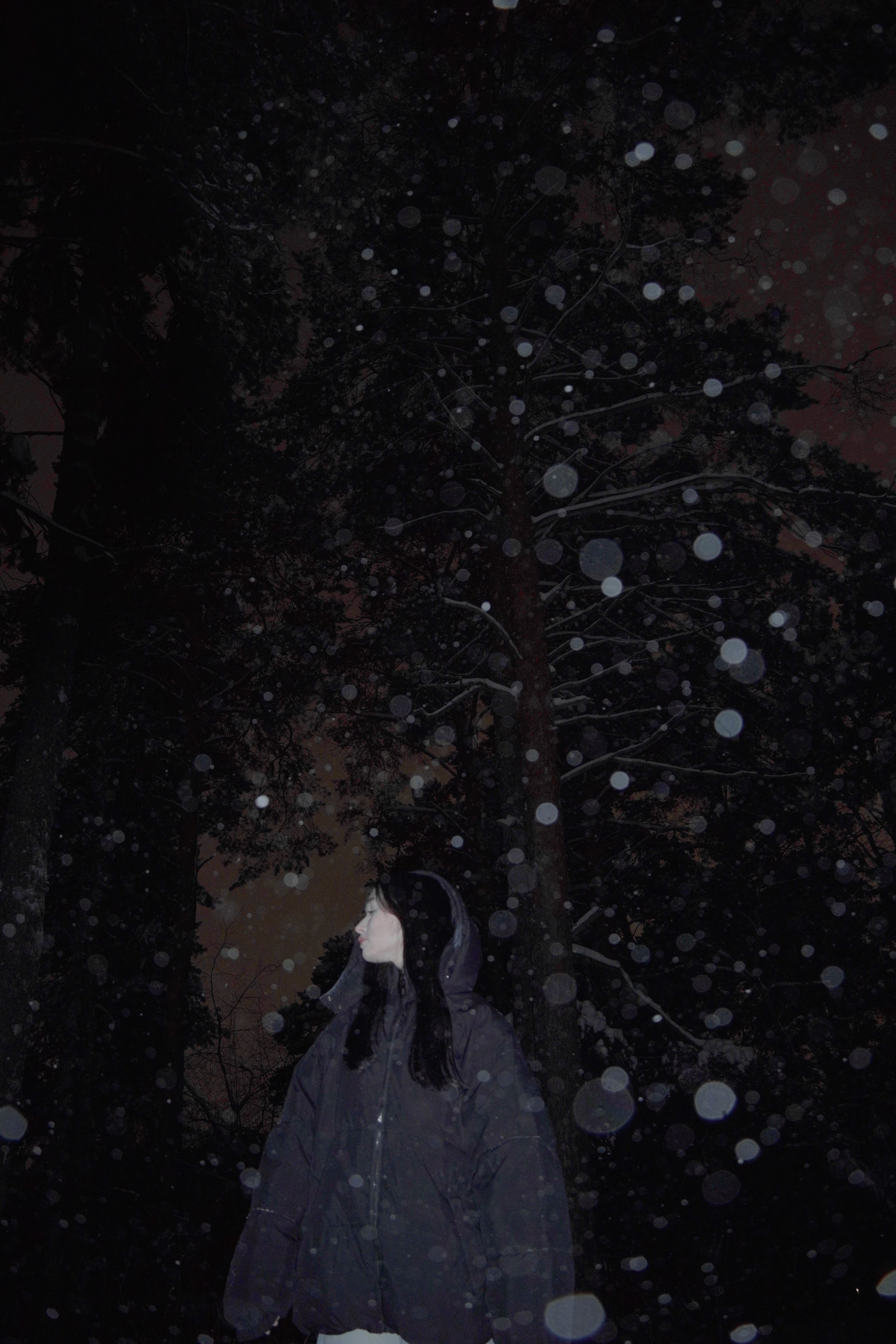 ЗАСНЕЖЕННЫЙ ЛЕС. Художественный фотограф в Тюмени Валерия Шульман