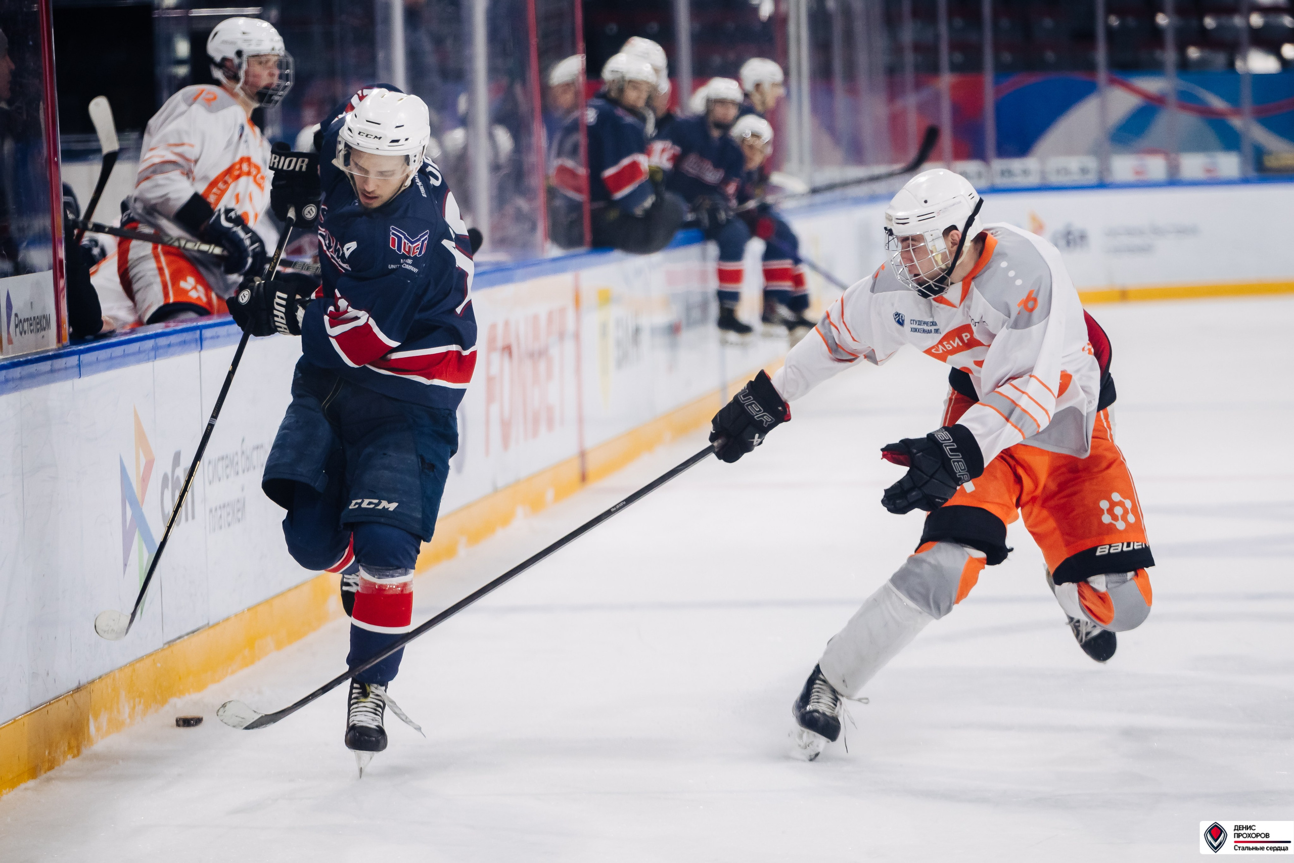 «Стальные сердца» — «СФУ» // 07-08.02.25. Денис Прохоров Фотограф в г. Магнитогорск