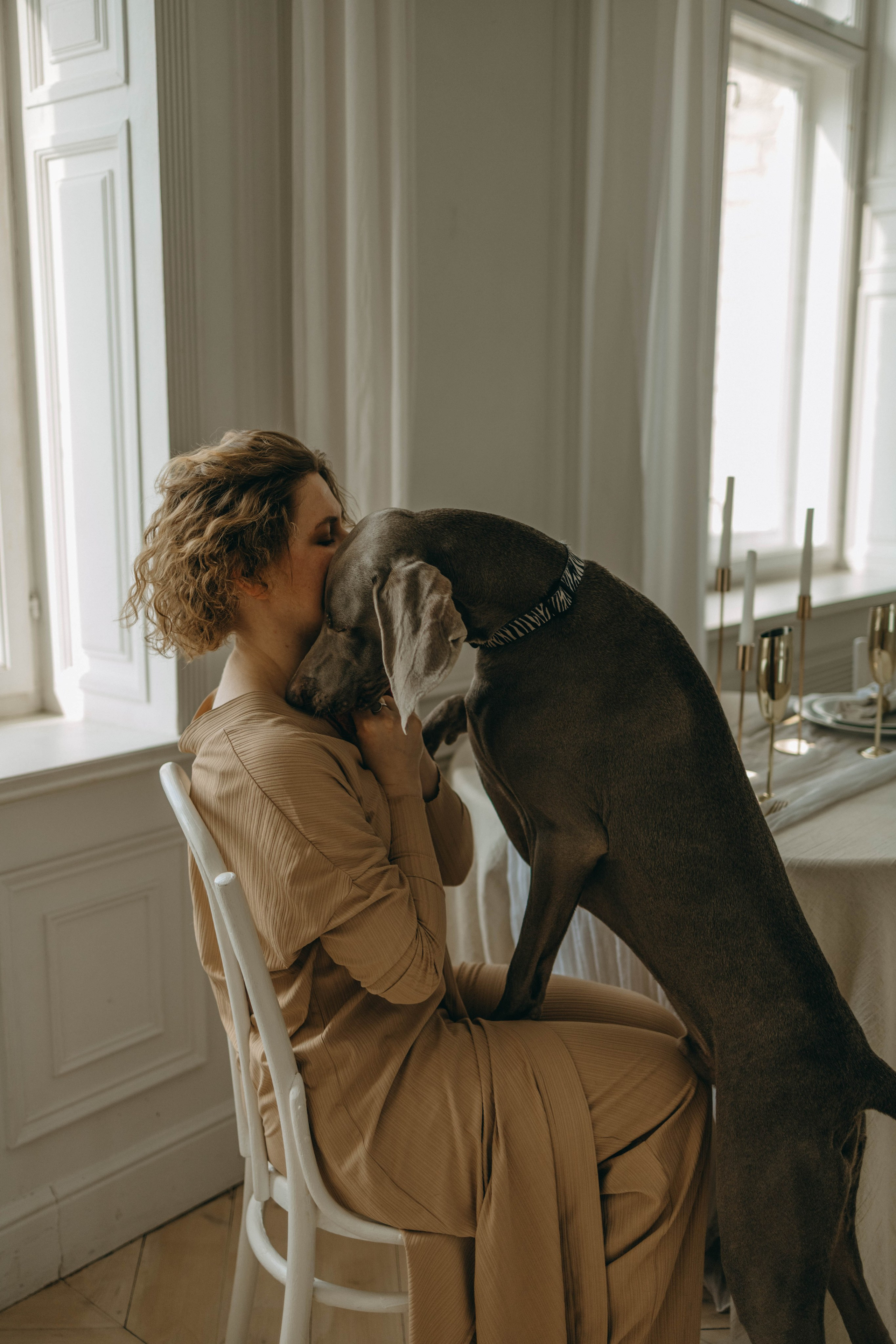 Фотосессия в студии с собакой. Фотограф-анималист в Екатеринбурге | Кристина