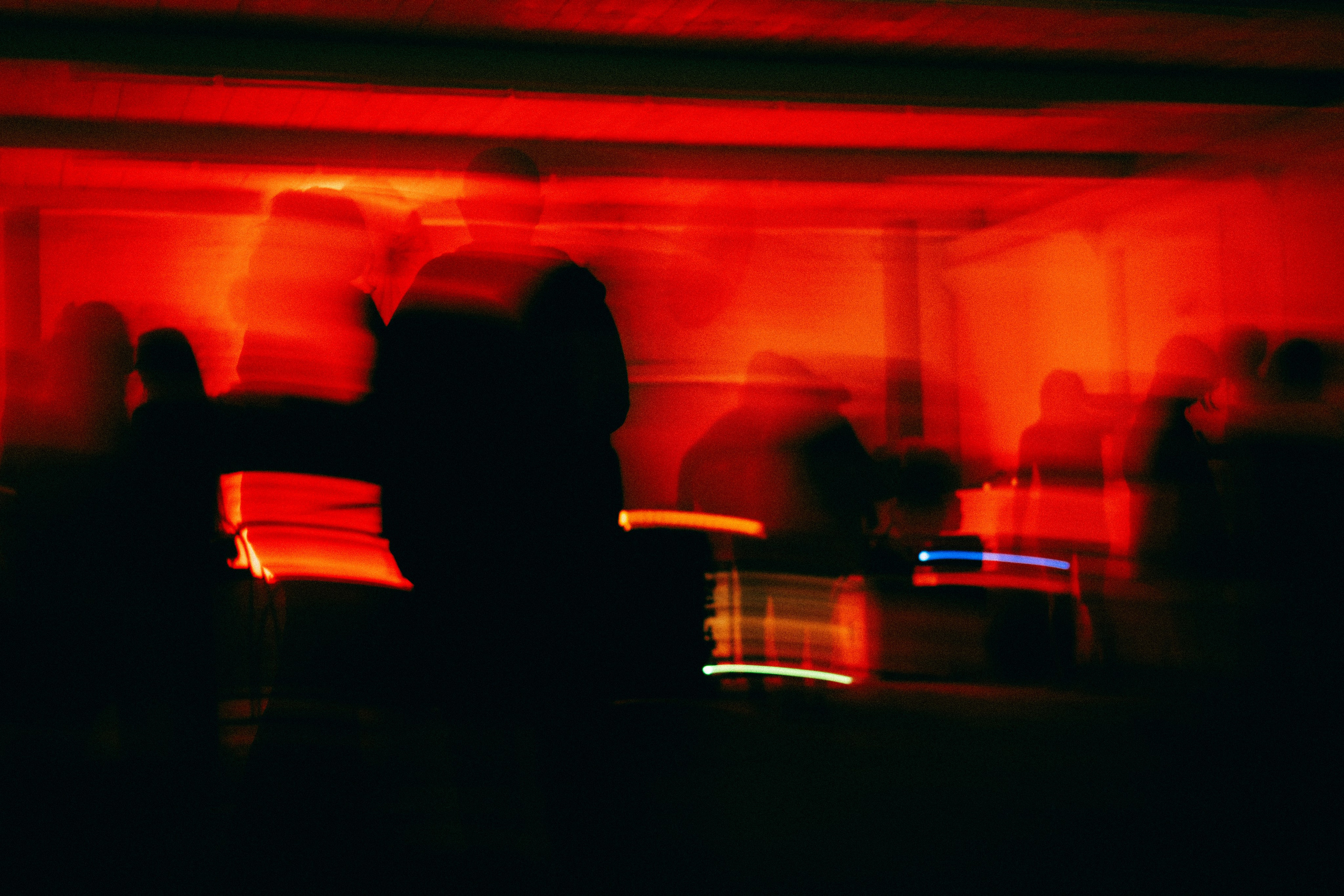 ZEN. Veronika Popadeikina Photographer