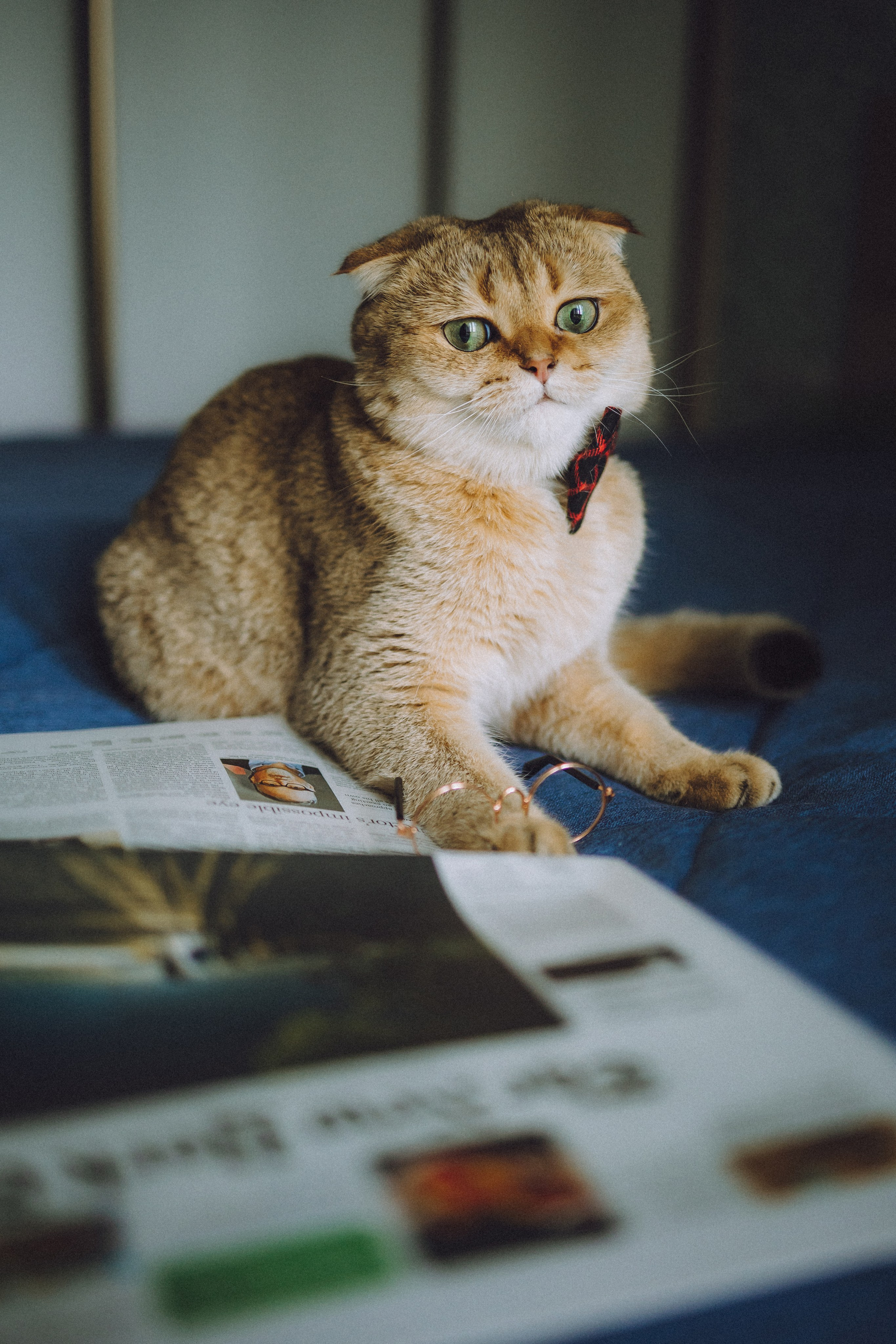 Генри и его семья