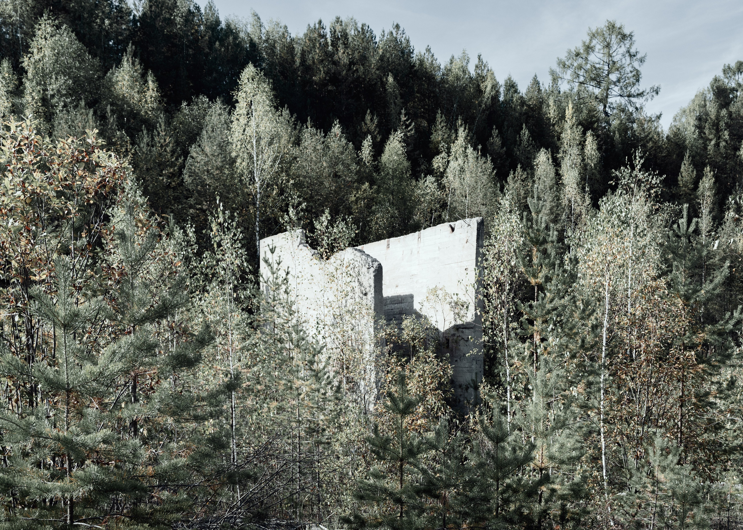 Природа. Фотограф Александр Тихонов