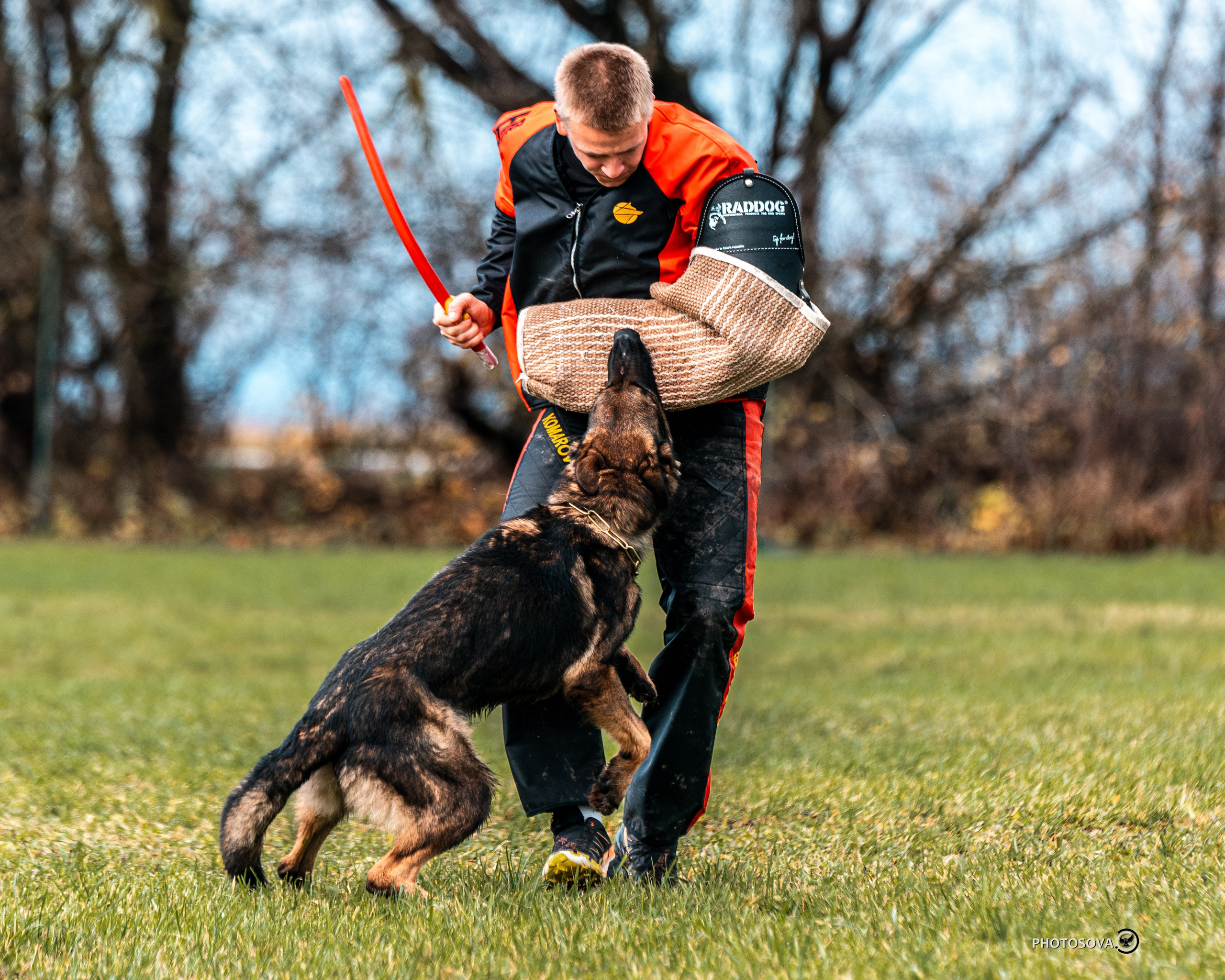 МЫ — КОМАНДА (соревнования) OKD, BH, IBGH, IGP. Фотограф-анималист, семейный фотограф в Москве и Подмосковье. Фотосъёмка кинологических дисциплин