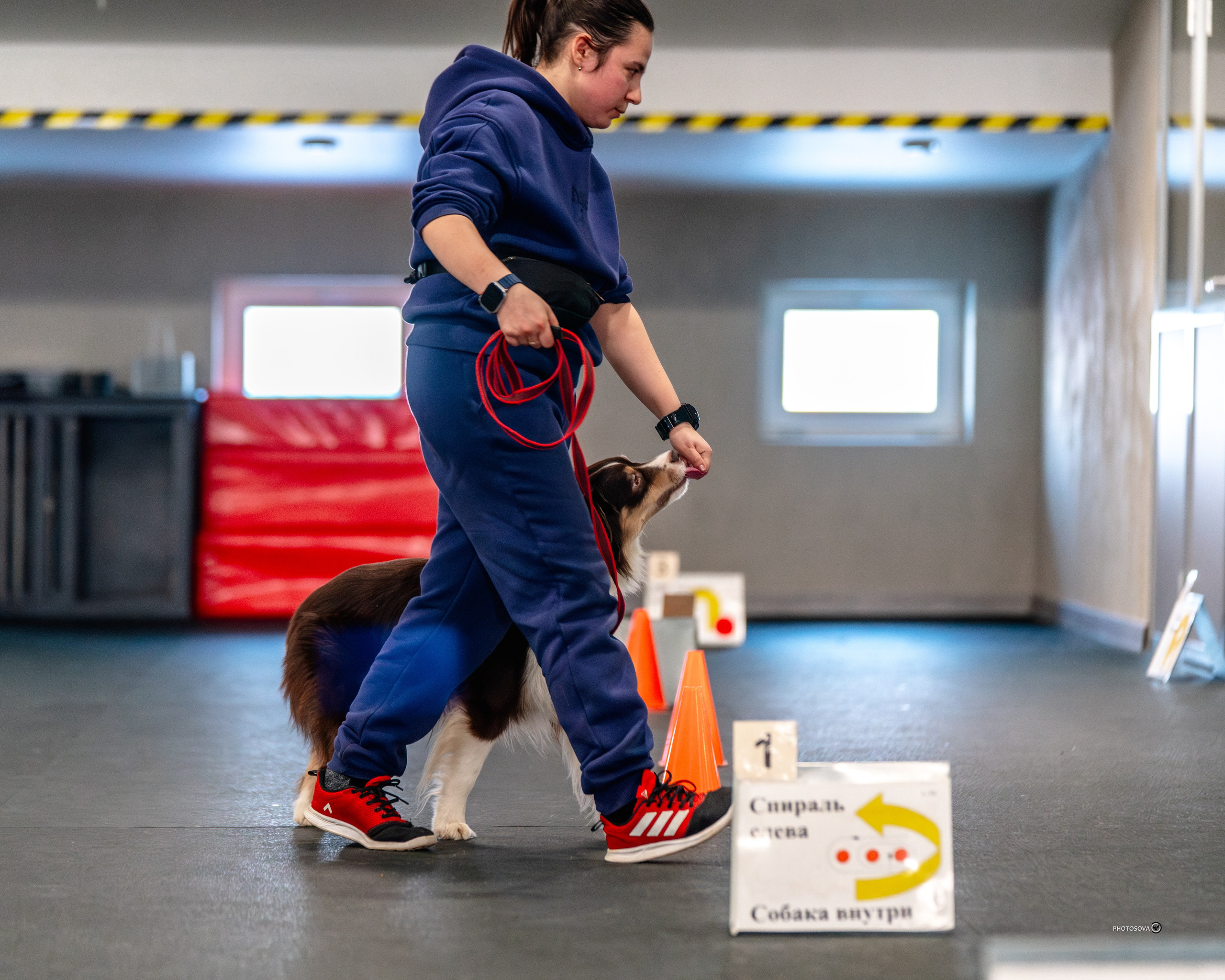 ТЫ И Я (соревнования по ралли-обидиенс). Фотограф-анималист, семейный фотограф в Москве и Подмосковье. Фотосъёмка кинологических дисциплин