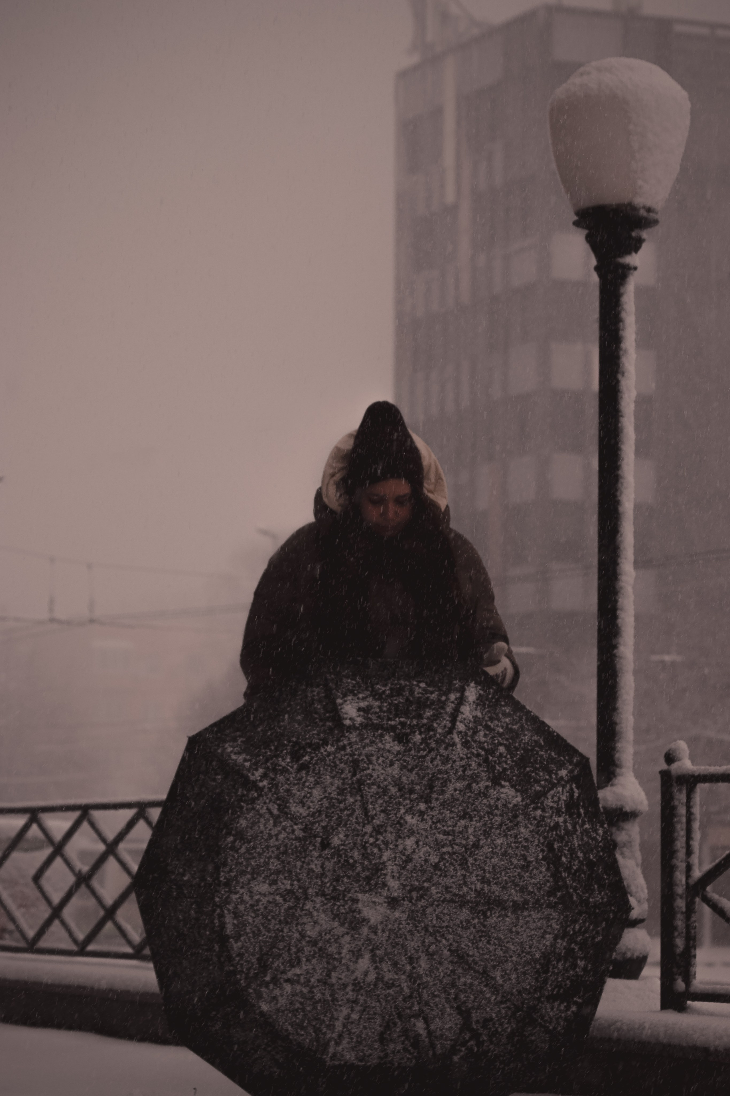 Коринна С. (Street). — Digital Noise —