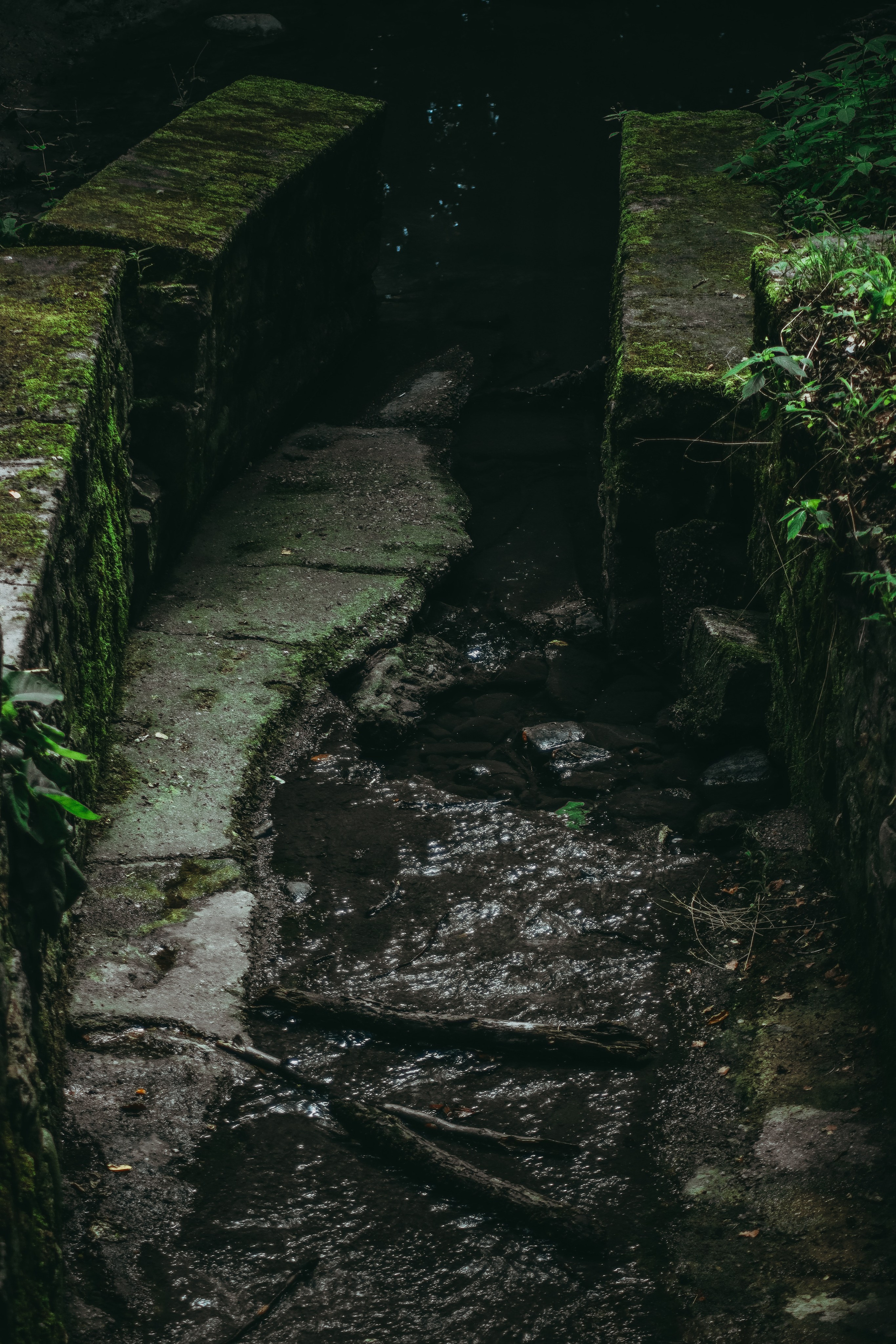 Т Е П Л Ы Й — З Е Л Е Н Ы Й. — Digital Noise —