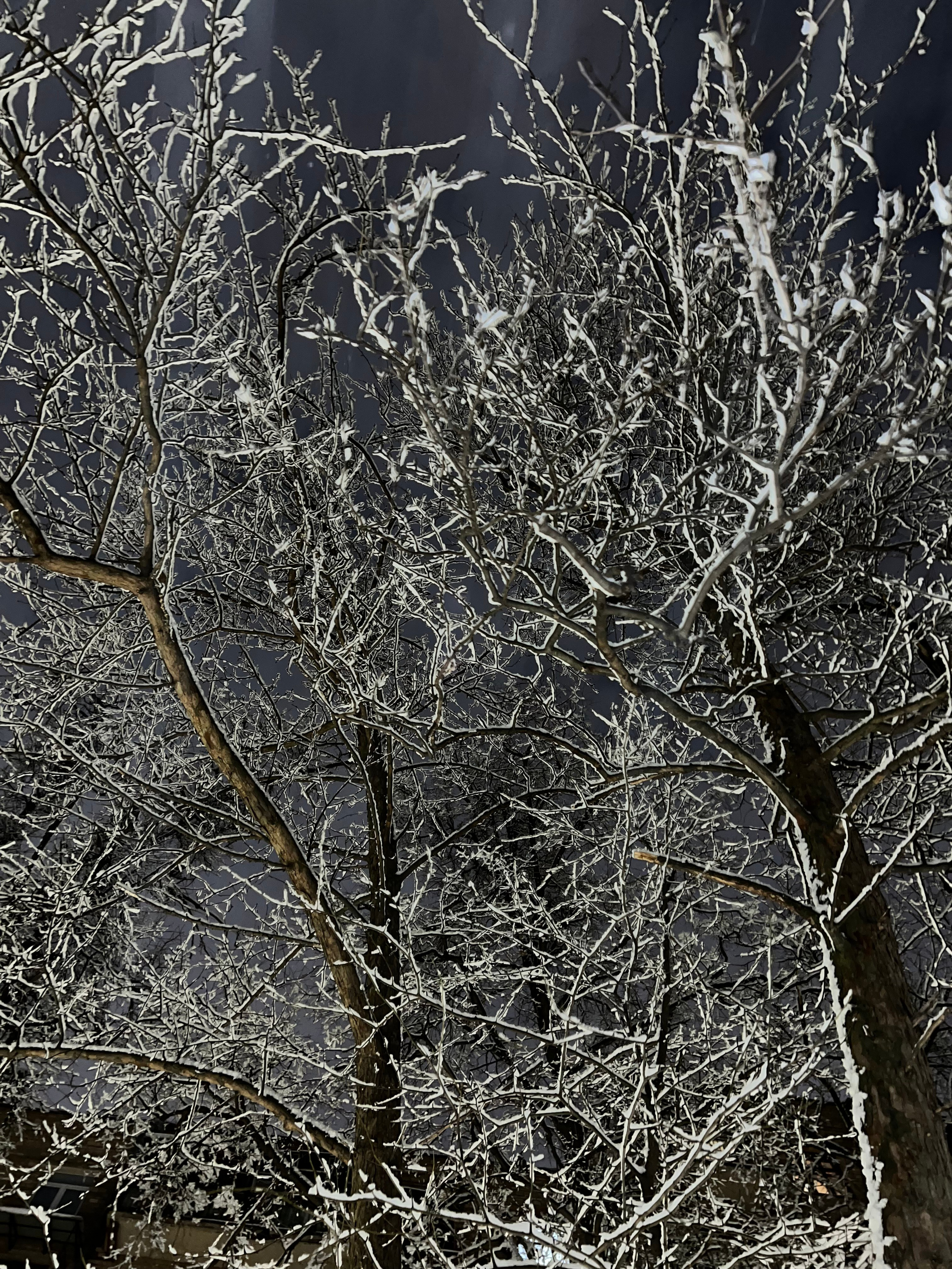 Fragments. Artem Khusainov