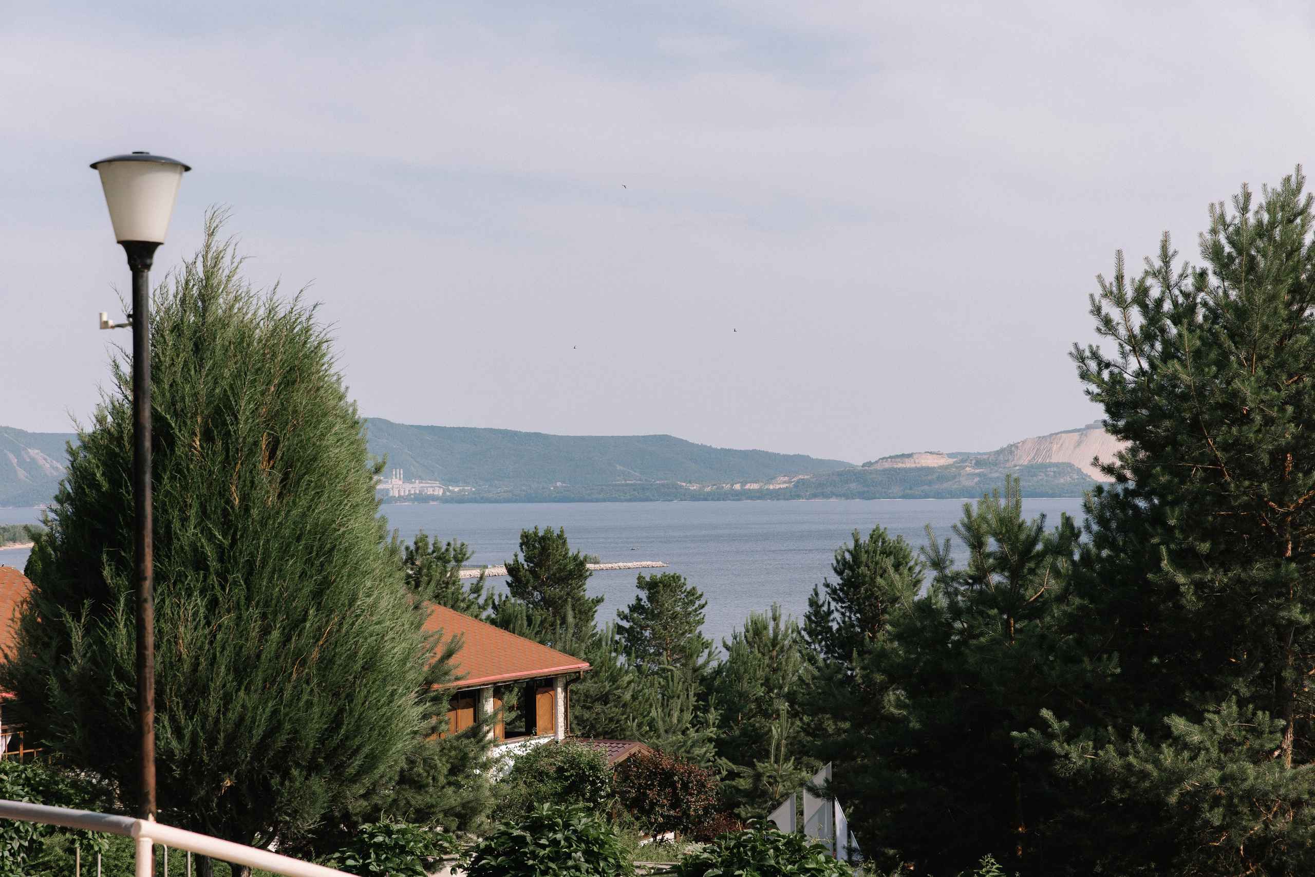 Сезон пионов. Фотограф Елена Краснопевцева