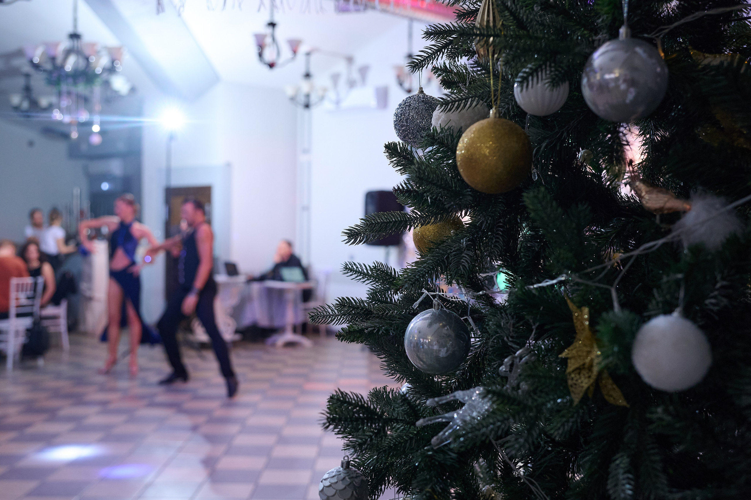 Новогодняя съёмка 2023. Фотограф Опыт Качество Скорость Горный Алтай Барнаул