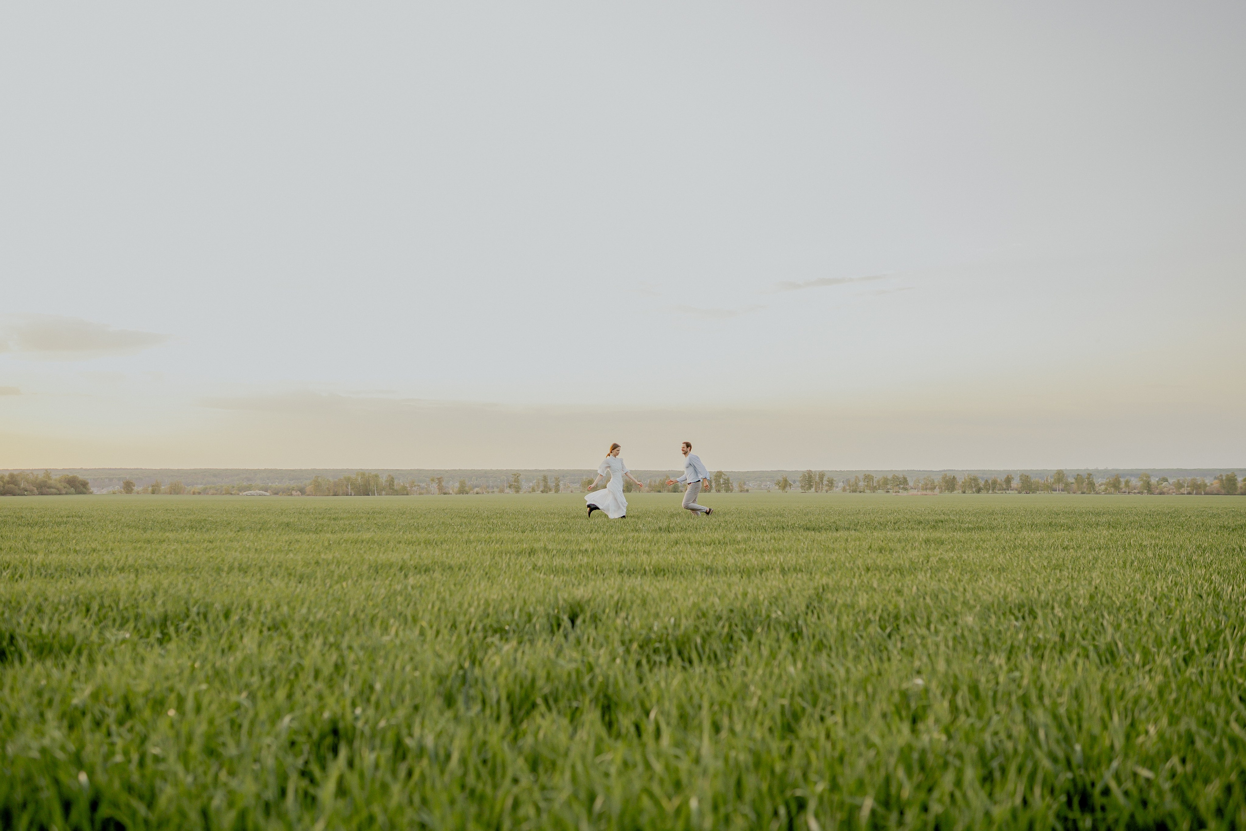 Поле. Фотограф Мария Зайчик