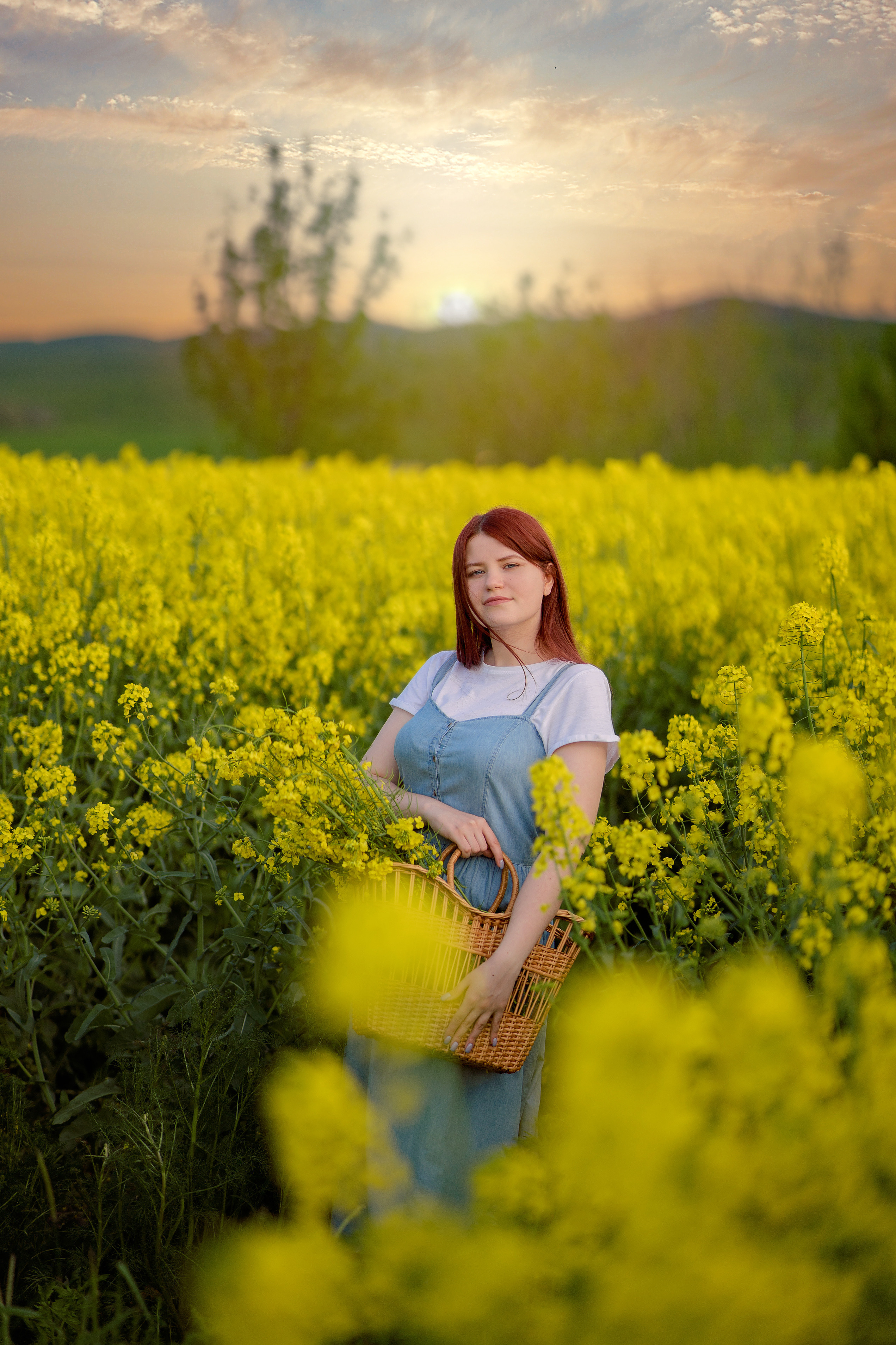 Репсовое поле. Фотограф в Египте, Хургаде, Луксоре, Сафаге. Фотограф по всему миру