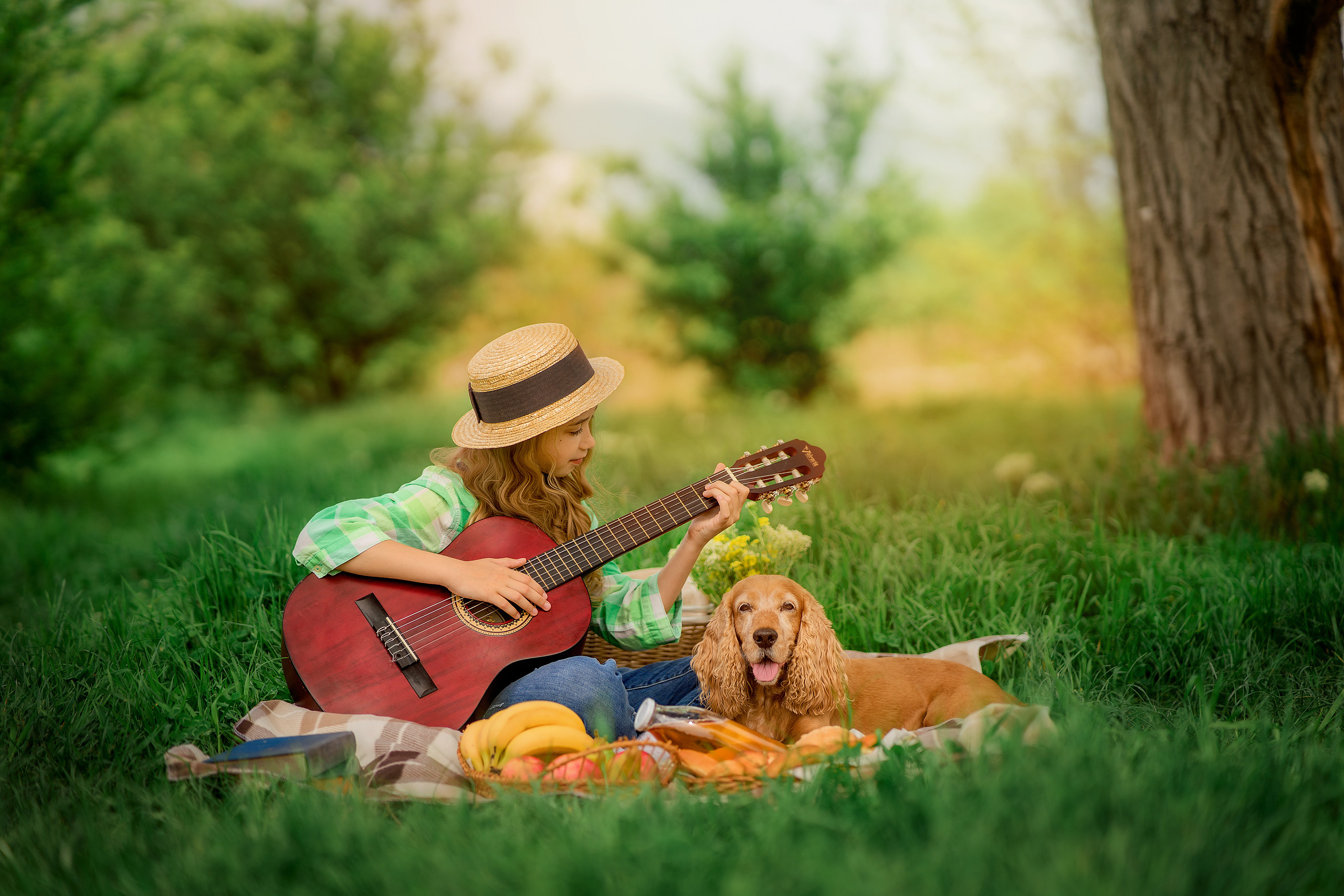 Пикник. Photographer in Egypt, Hurghada, Luxor, Safaga