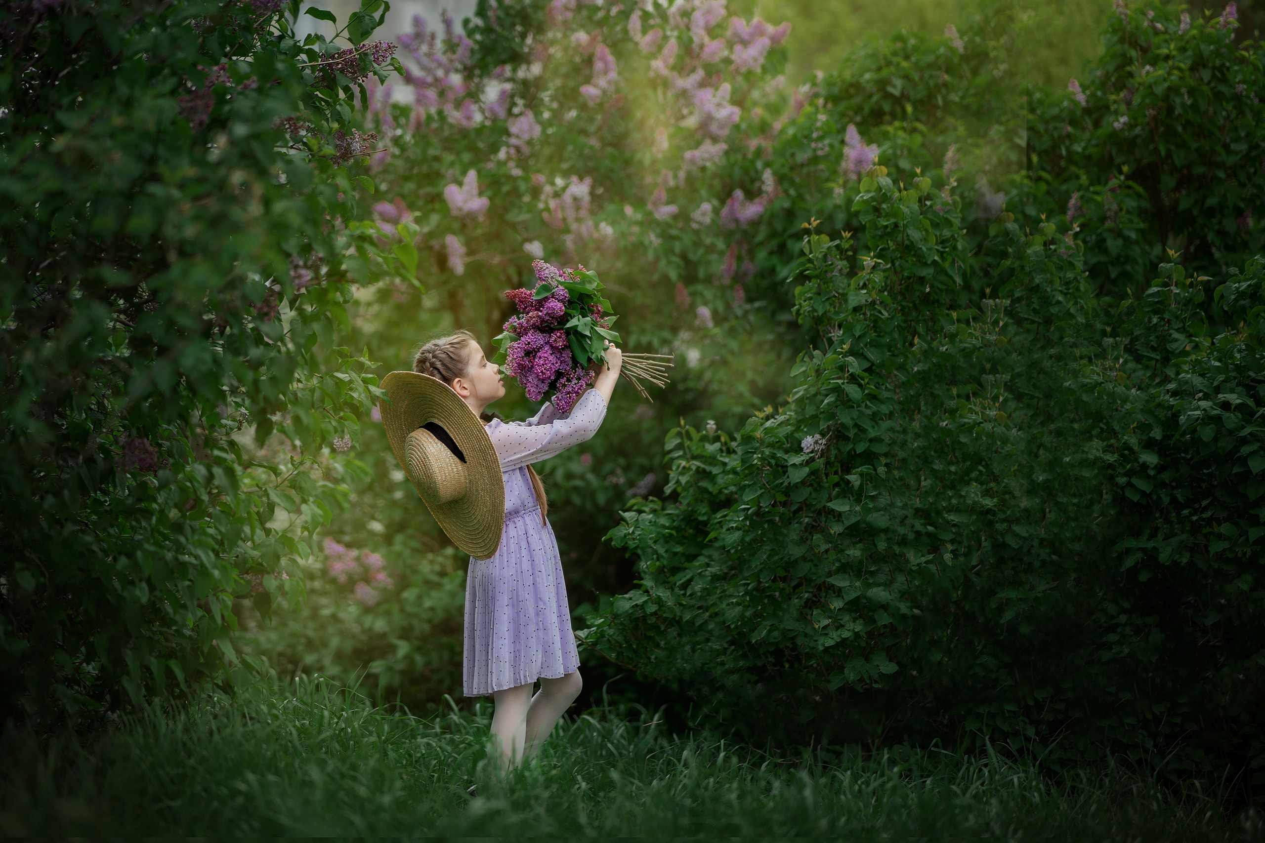 Сиреневое настроение. Photographer in Egypt, Hurghada, Luxor, Safaga