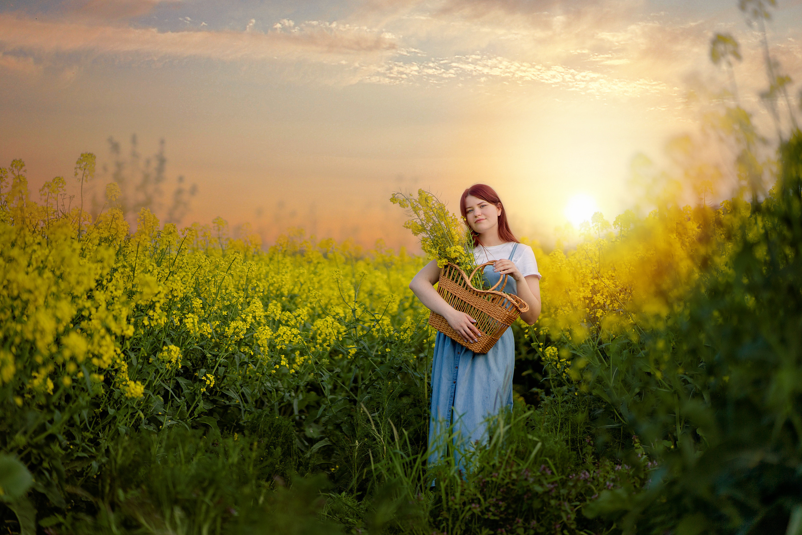 Репсовое поле. Фотограф в Египте, Хургаде, Луксоре, Сафаге. Фотограф по всему миру