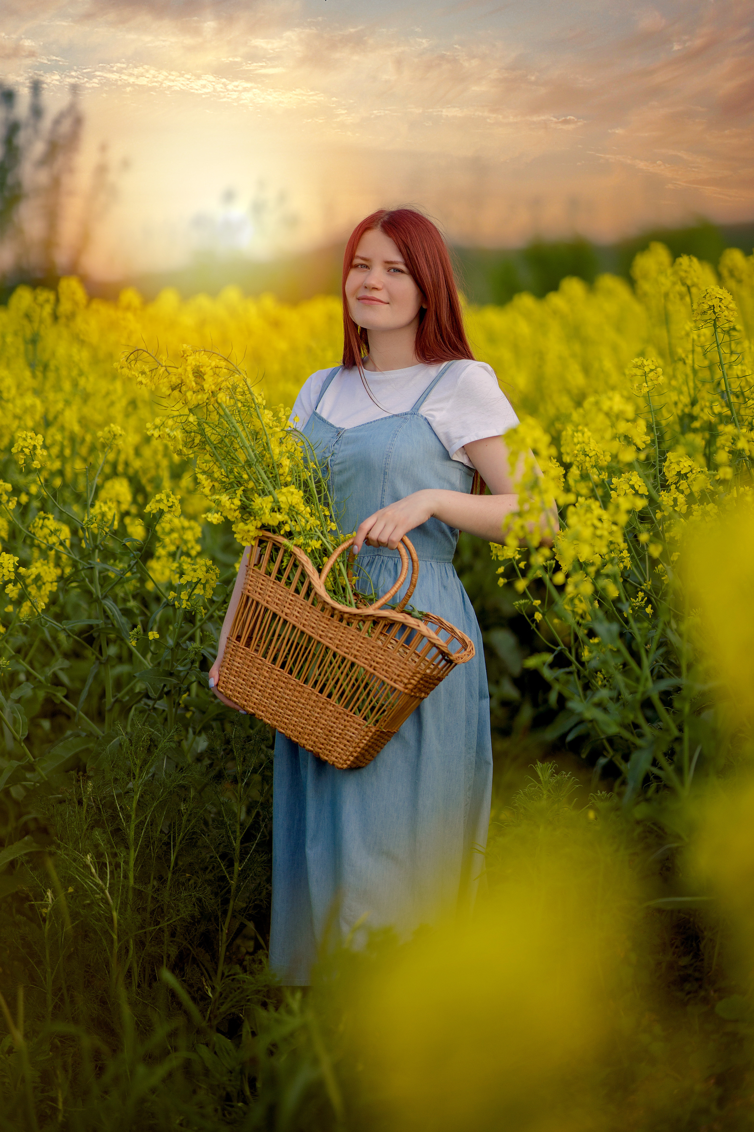 Репсовое поле. Фотограф в Египте, Хургаде, Луксоре, Сафаге. Фотограф по всему миру