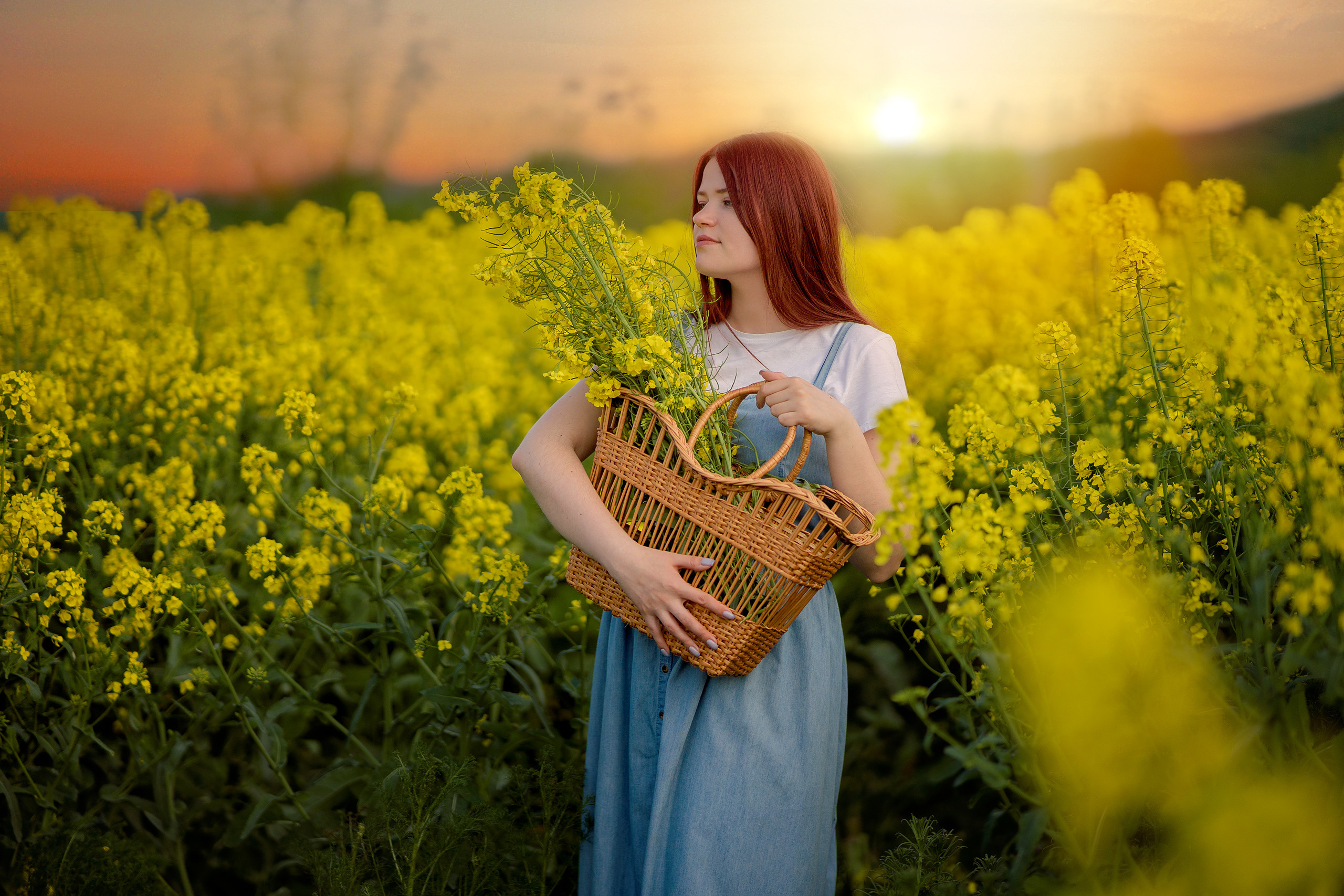 Репсовое поле. Фотограф в Египте, Хургаде, Луксоре, Сафаге. Фотограф по всему миру