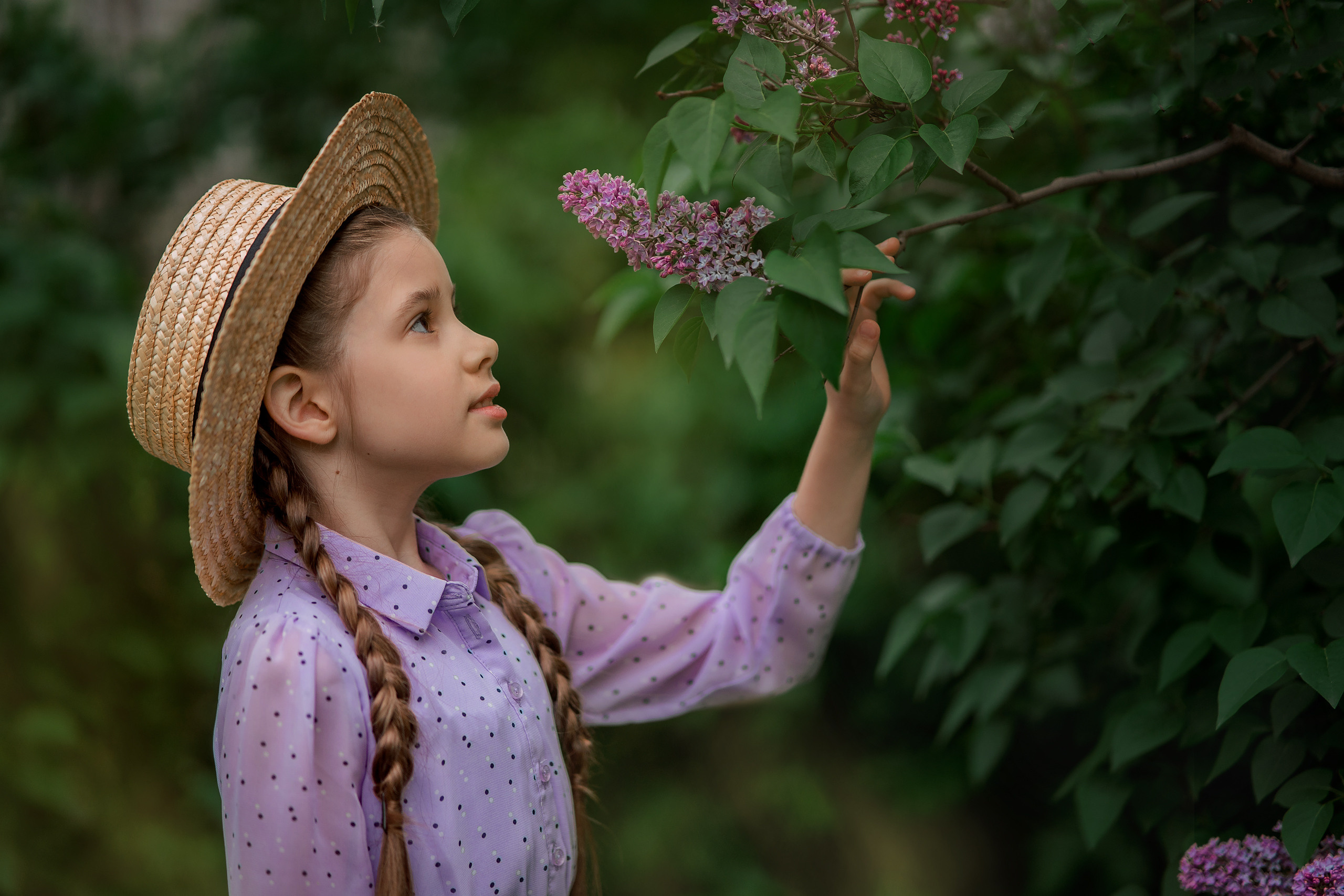 Сиреневое настроение. Photographer in Egypt, Hurghada, Luxor, Safaga