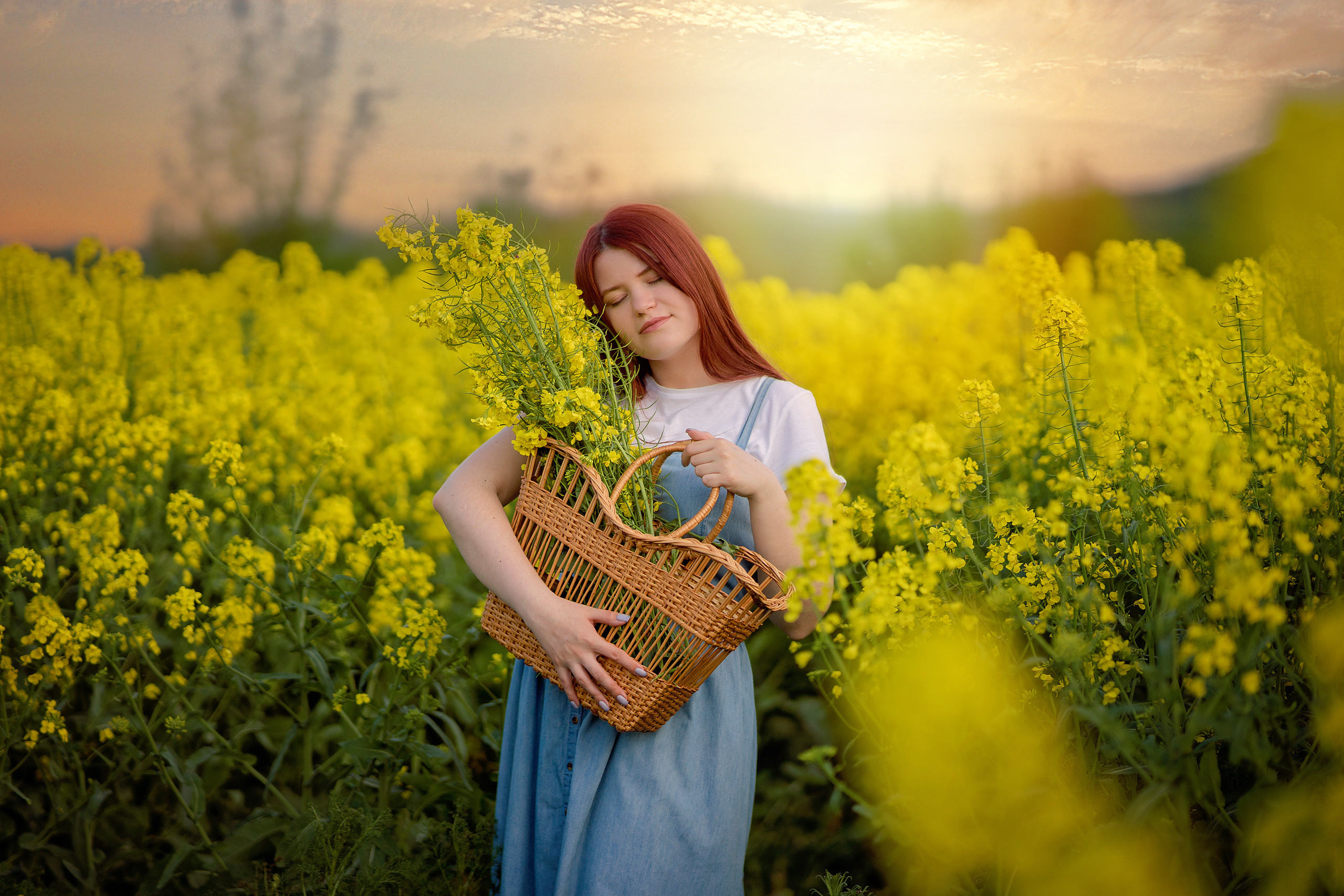 Репсовое поле. Фотограф в Египте, Хургаде, Луксоре, Сафаге. Фотограф по всему миру