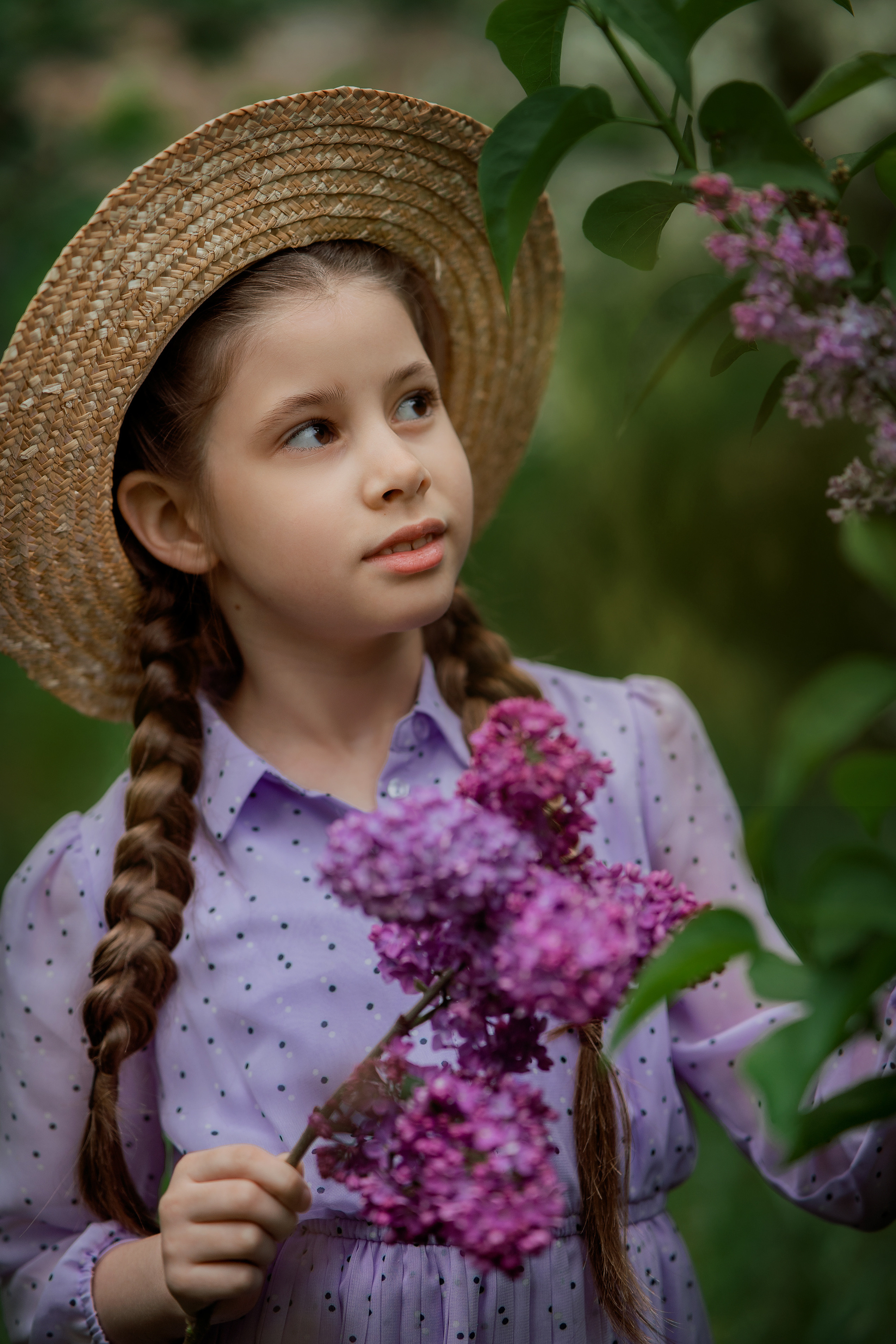 Сиреневое настроение. Photographer in Egypt, Hurghada, Luxor, Safaga