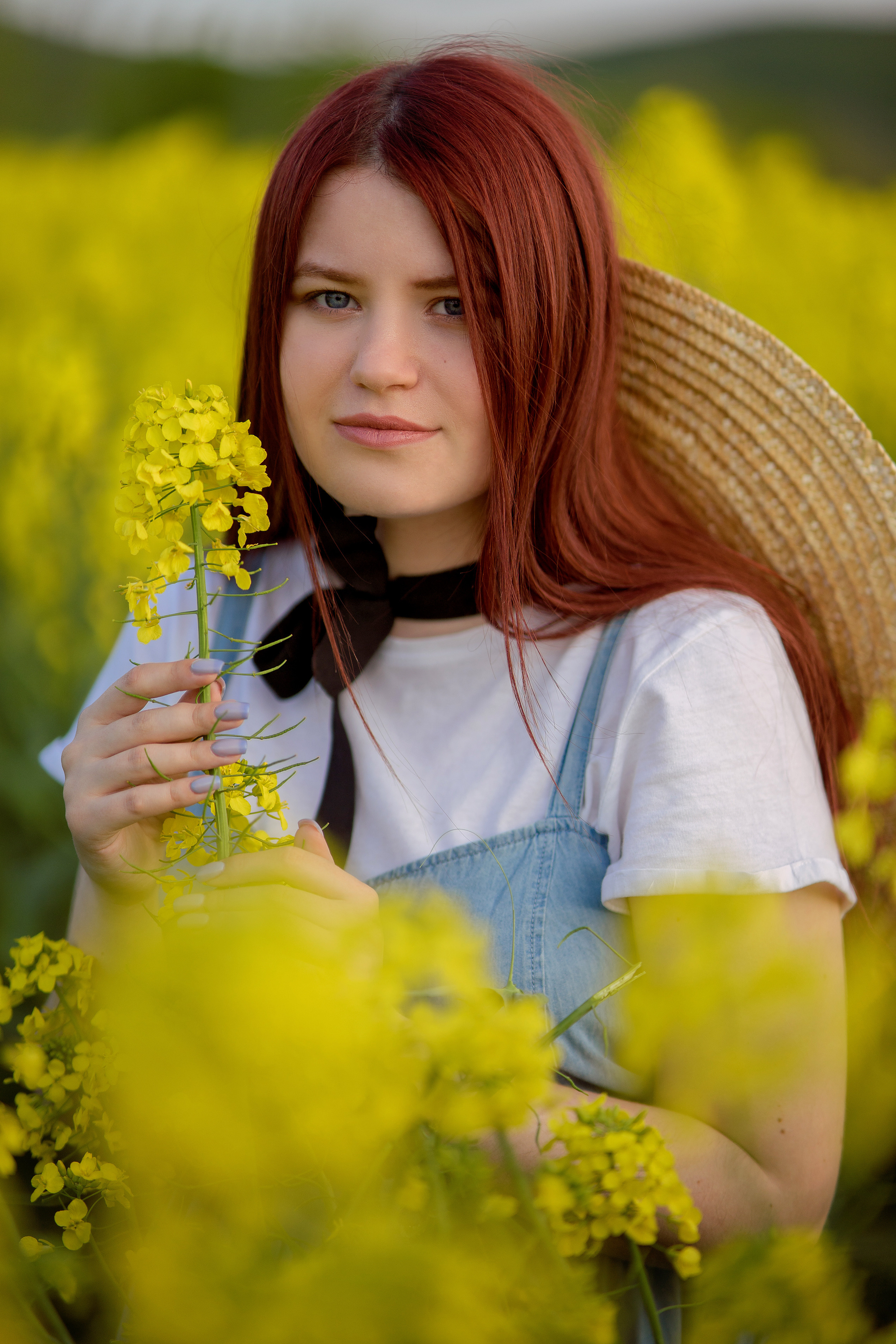 Репсовое поле. Фотограф в Египте, Хургаде, Луксоре, Сафаге. Фотограф по всему миру