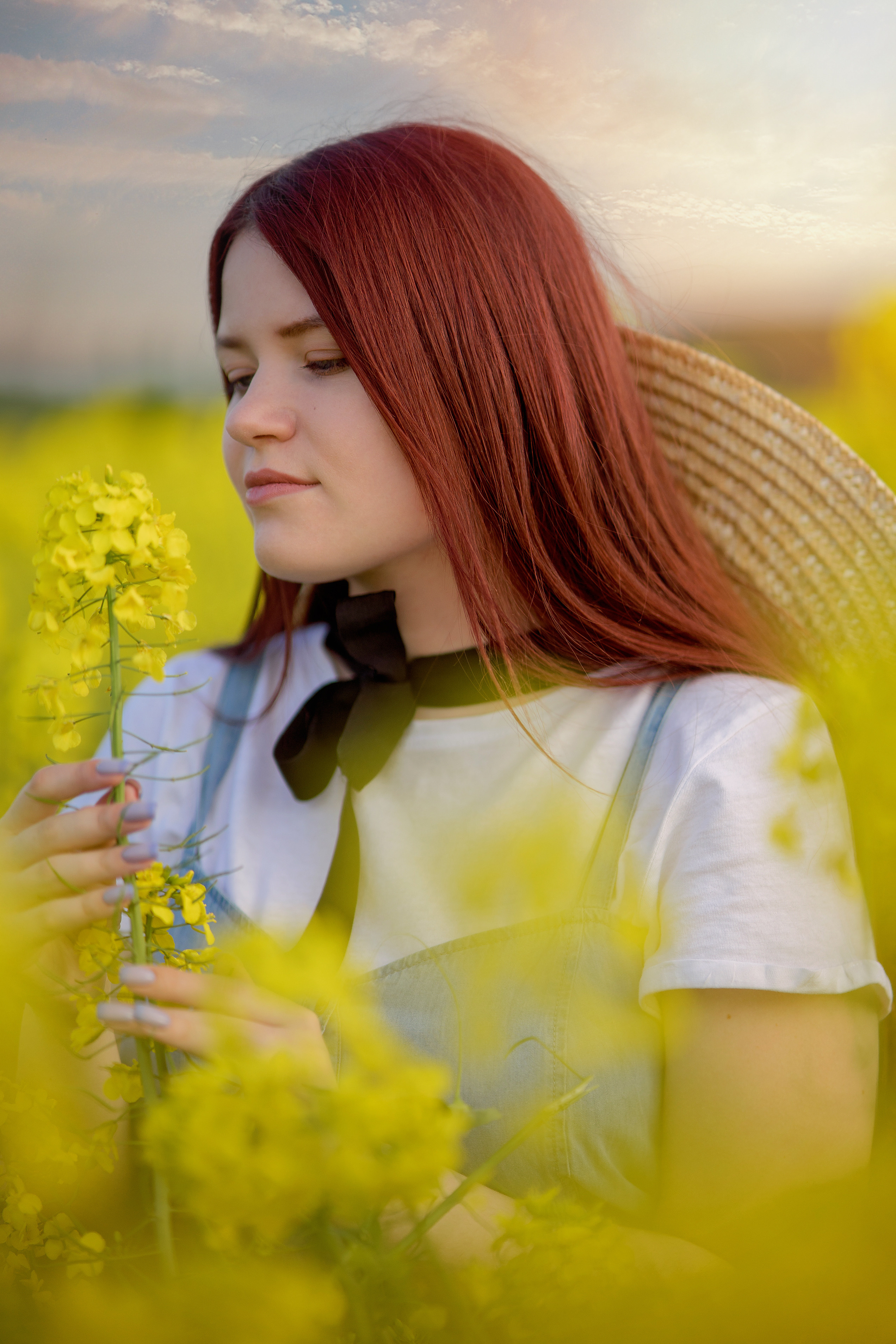 Репсовое поле. Фотограф в Египте, Хургаде, Луксоре, Сафаге. Фотограф по всему миру
