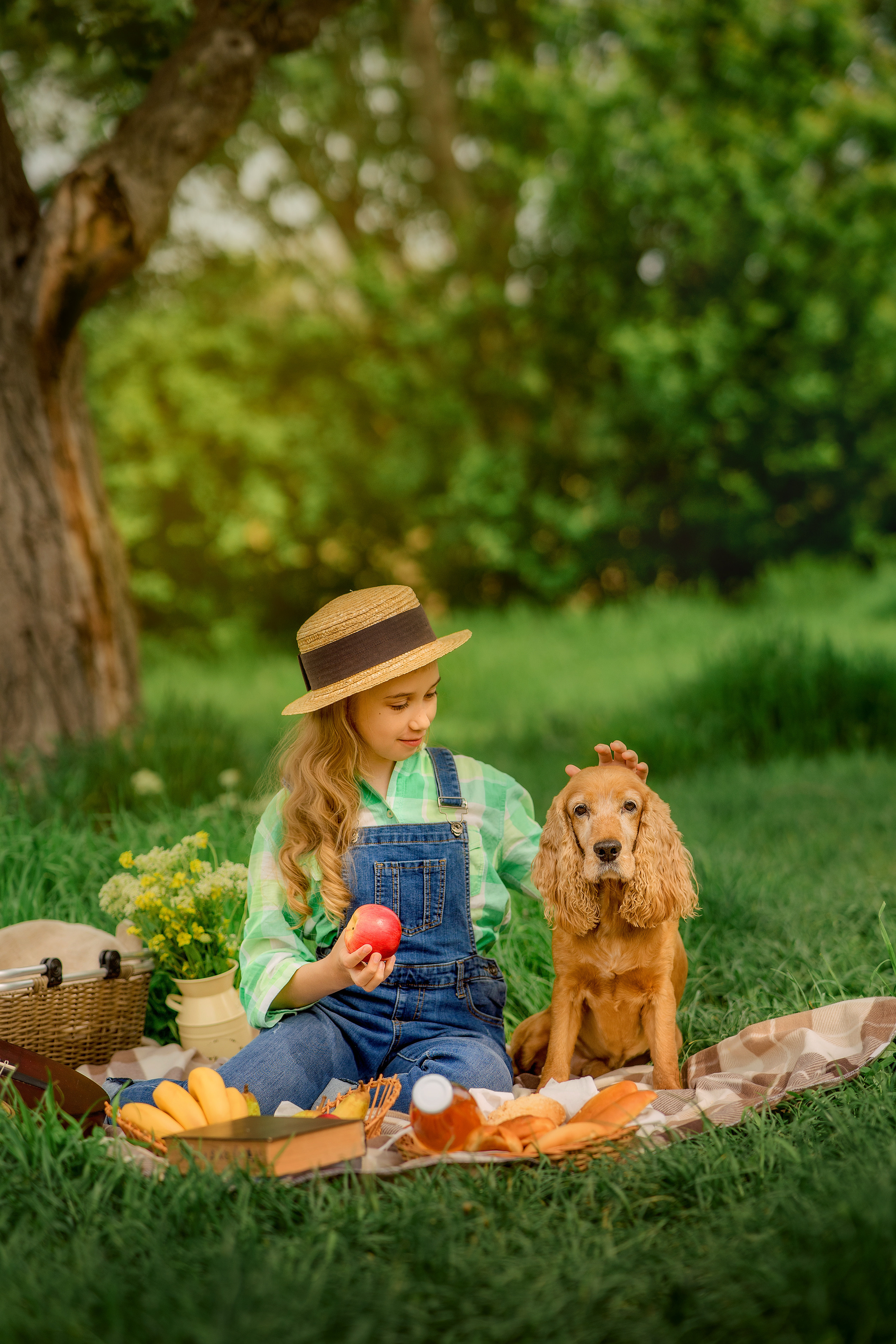 Пикник. Photographer in Egypt, Hurghada, Luxor, Safaga