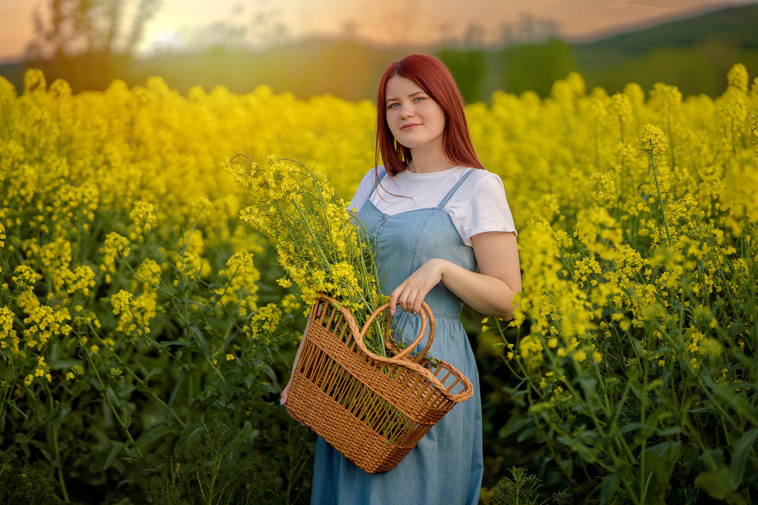 Репсовое поле. Фотограф в Египте, Хургаде, Луксоре, Сафаге. Фотограф по всему миру