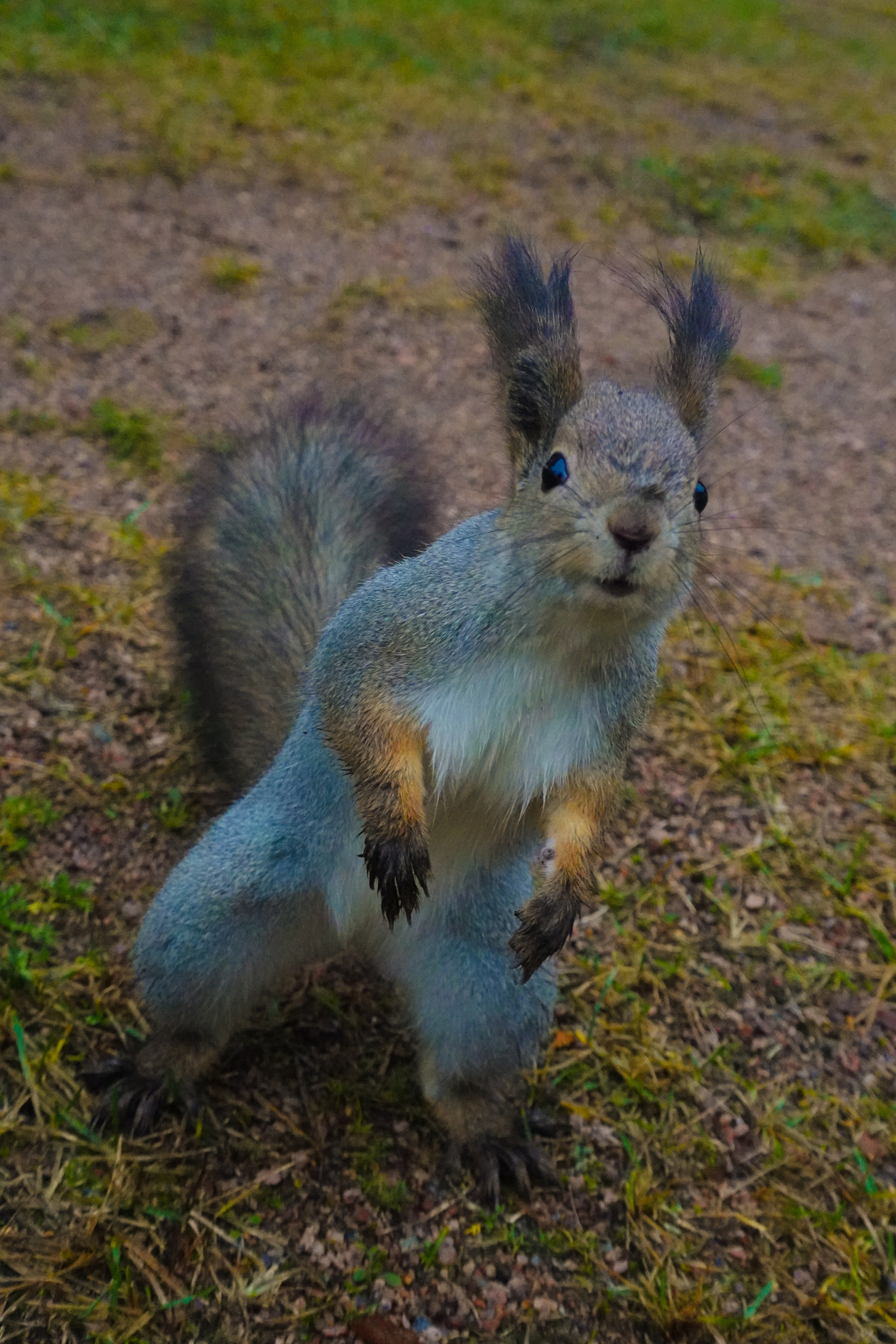 Фильм «В поисках сознания». Фотограф Алиса Аспер