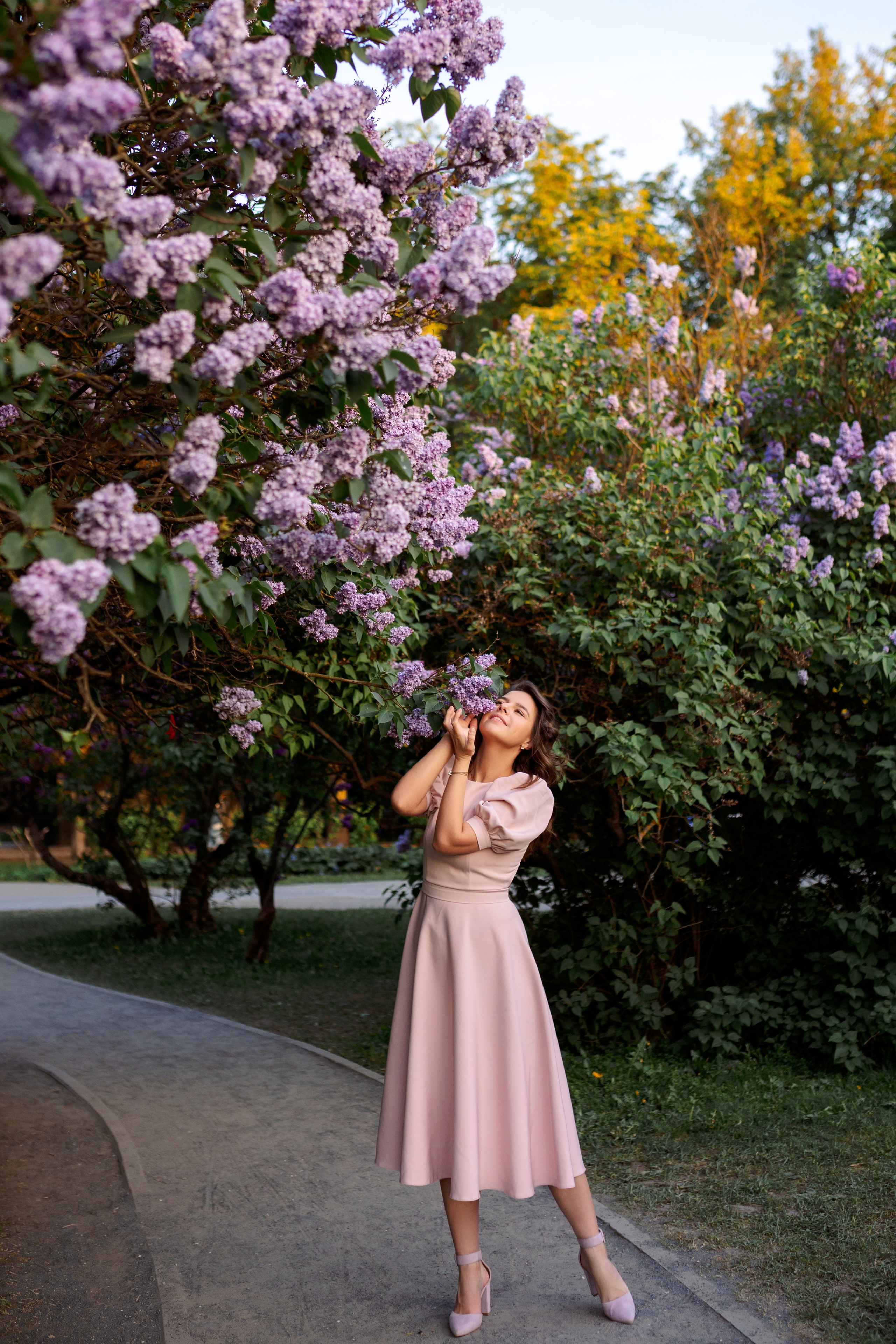 Цветение в сиреневом саду. Главная