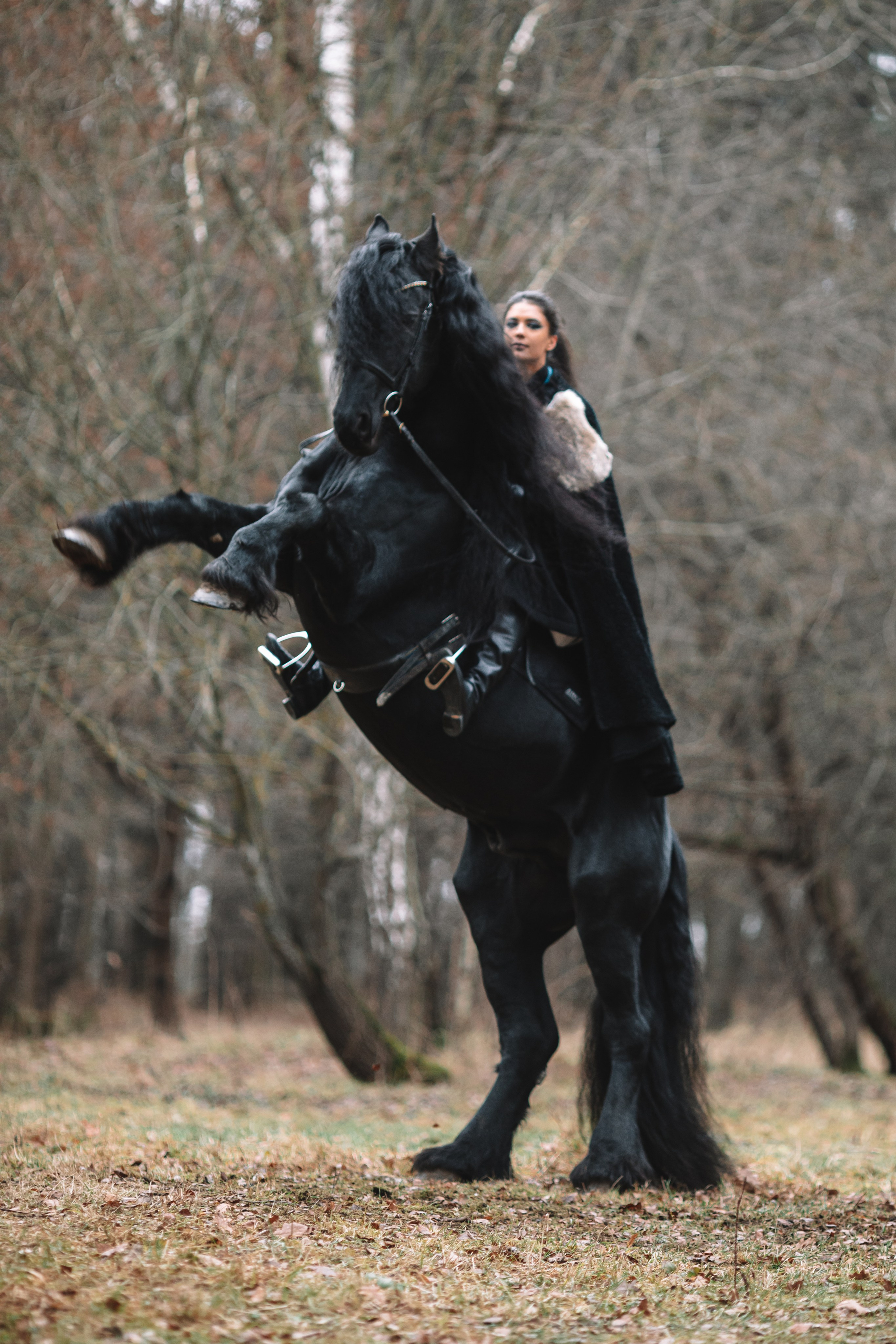Наташа с фризом в костюме викинга. Фотосессии с лошадьми