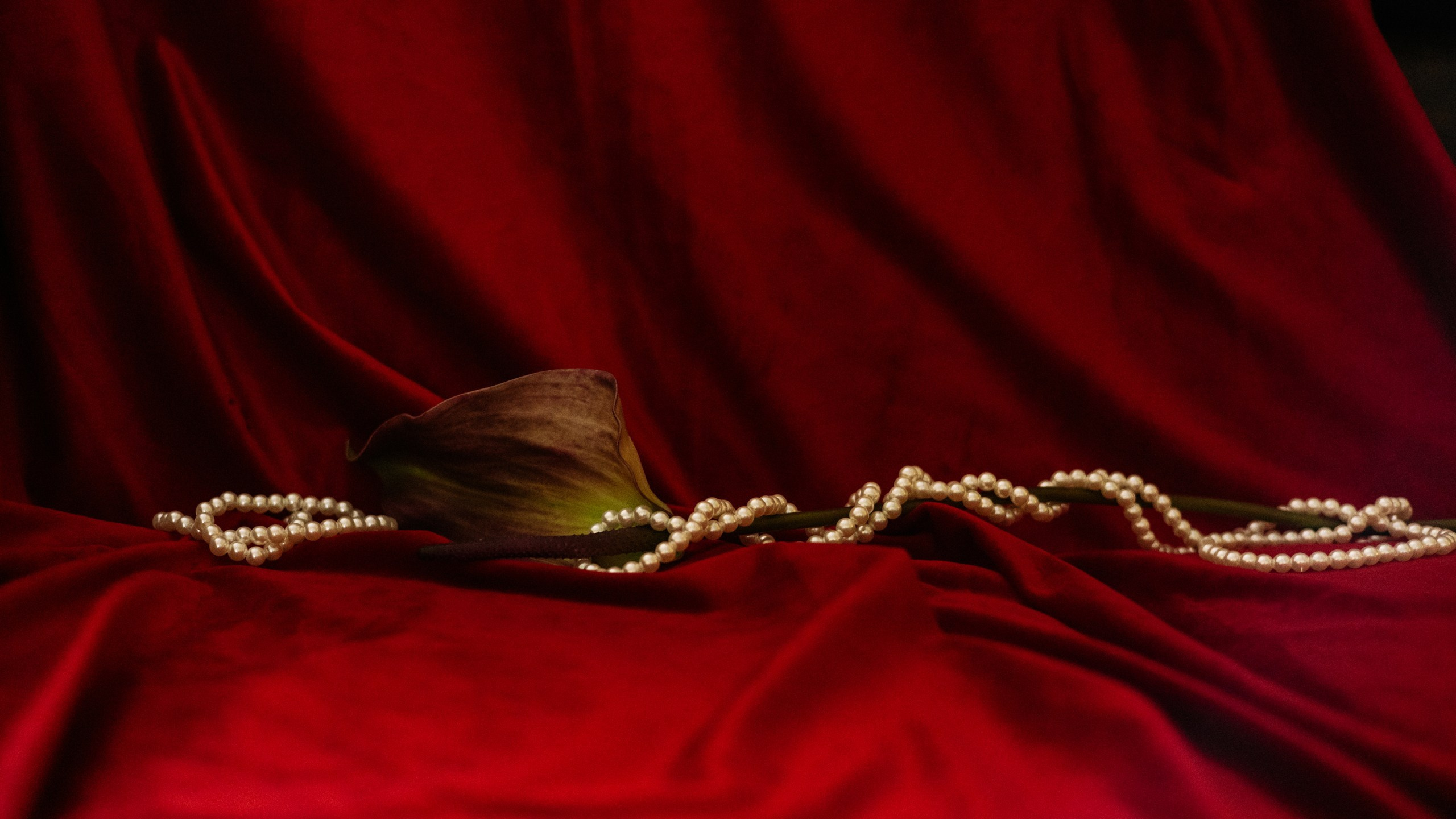 Kristina & Ruslan. Индивидуальный фотограф в Оренбурге Кристина Студеникина