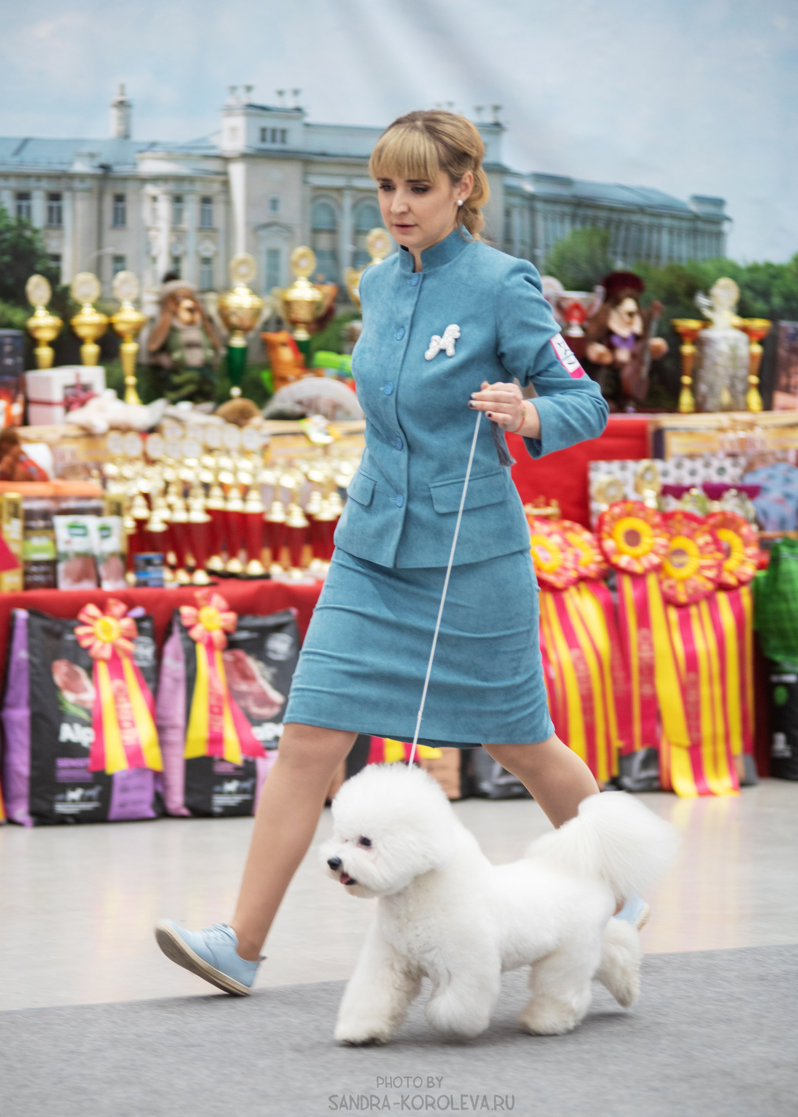 Выставка собак тюмень 14.01.2023. Дог-фотограф в Тюмени Александра Королева